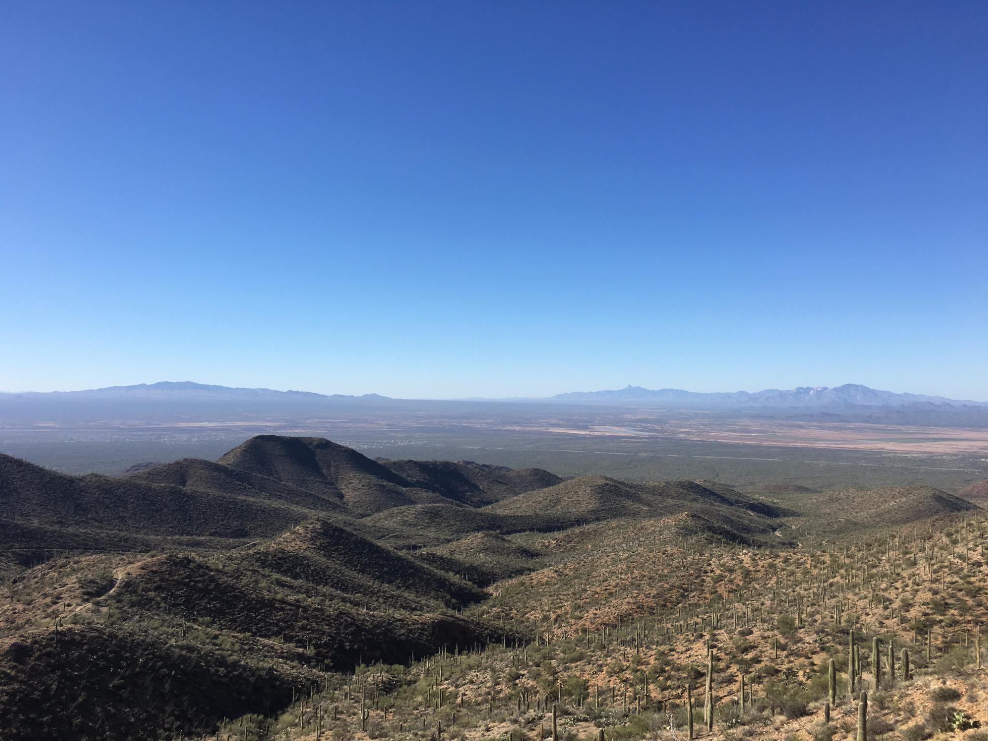 Wasson Peak