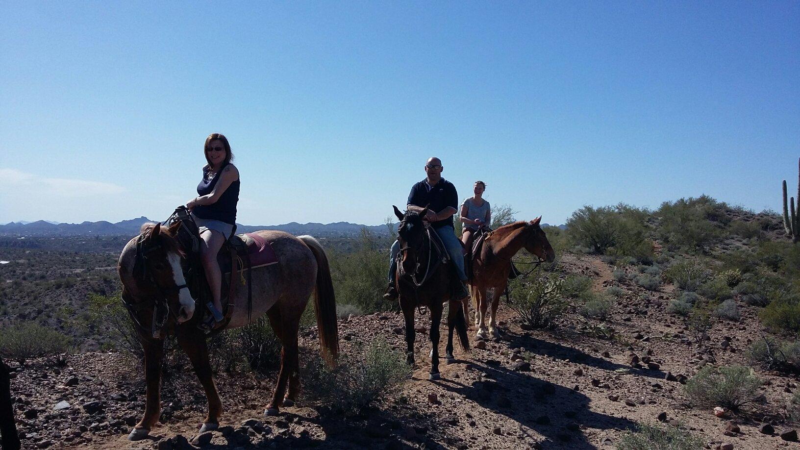 Arizona Horse Company