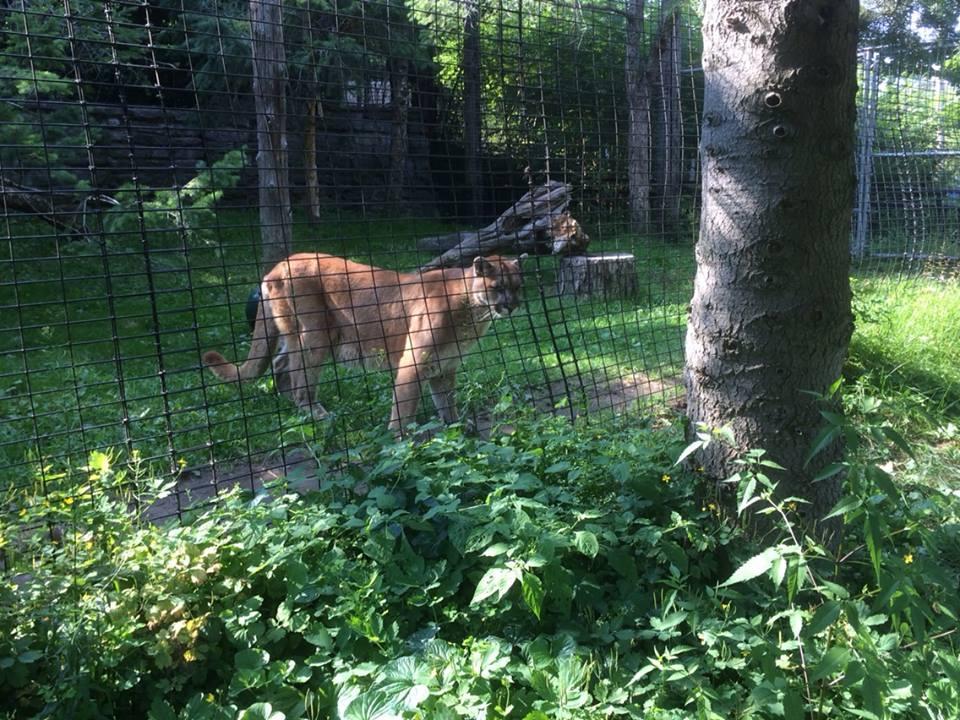 New York State Zoo at Thompson Park