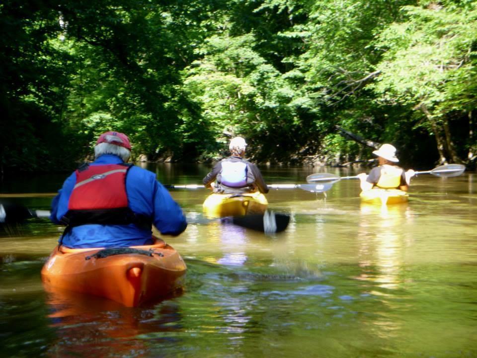 Kayak-Kayak