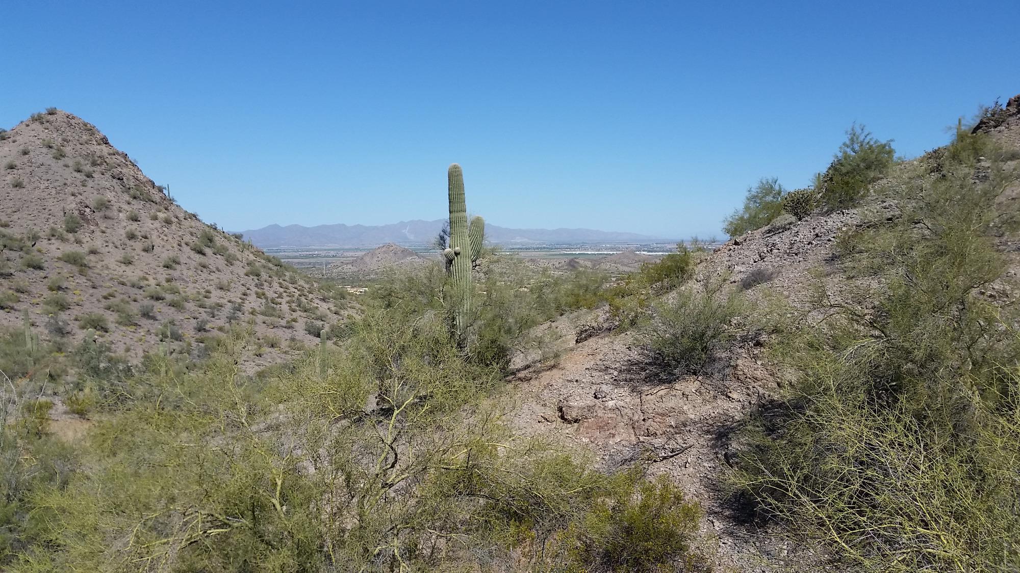 Estrella Mountain Regional Park