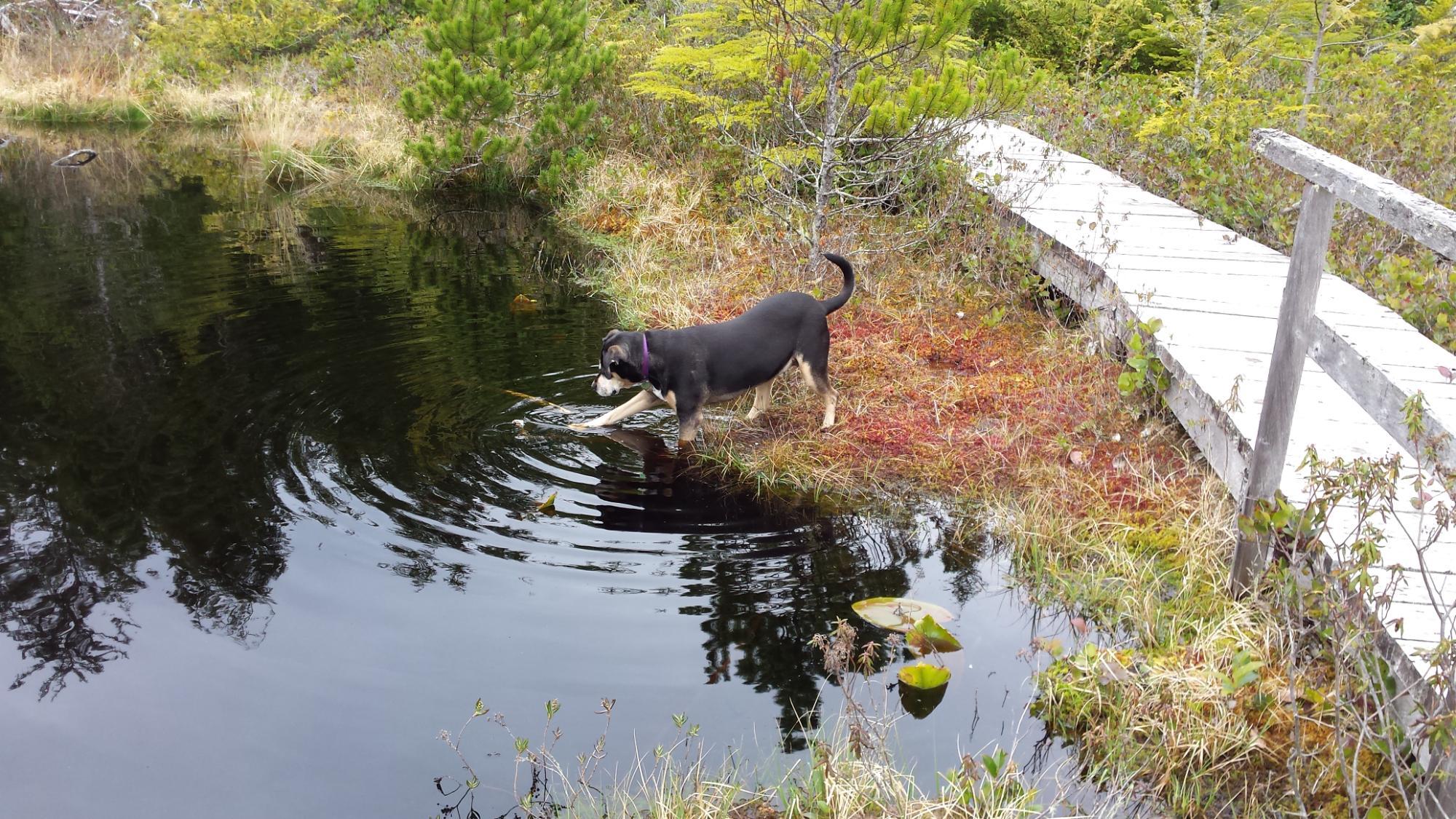 Mateoja Heritage Trail