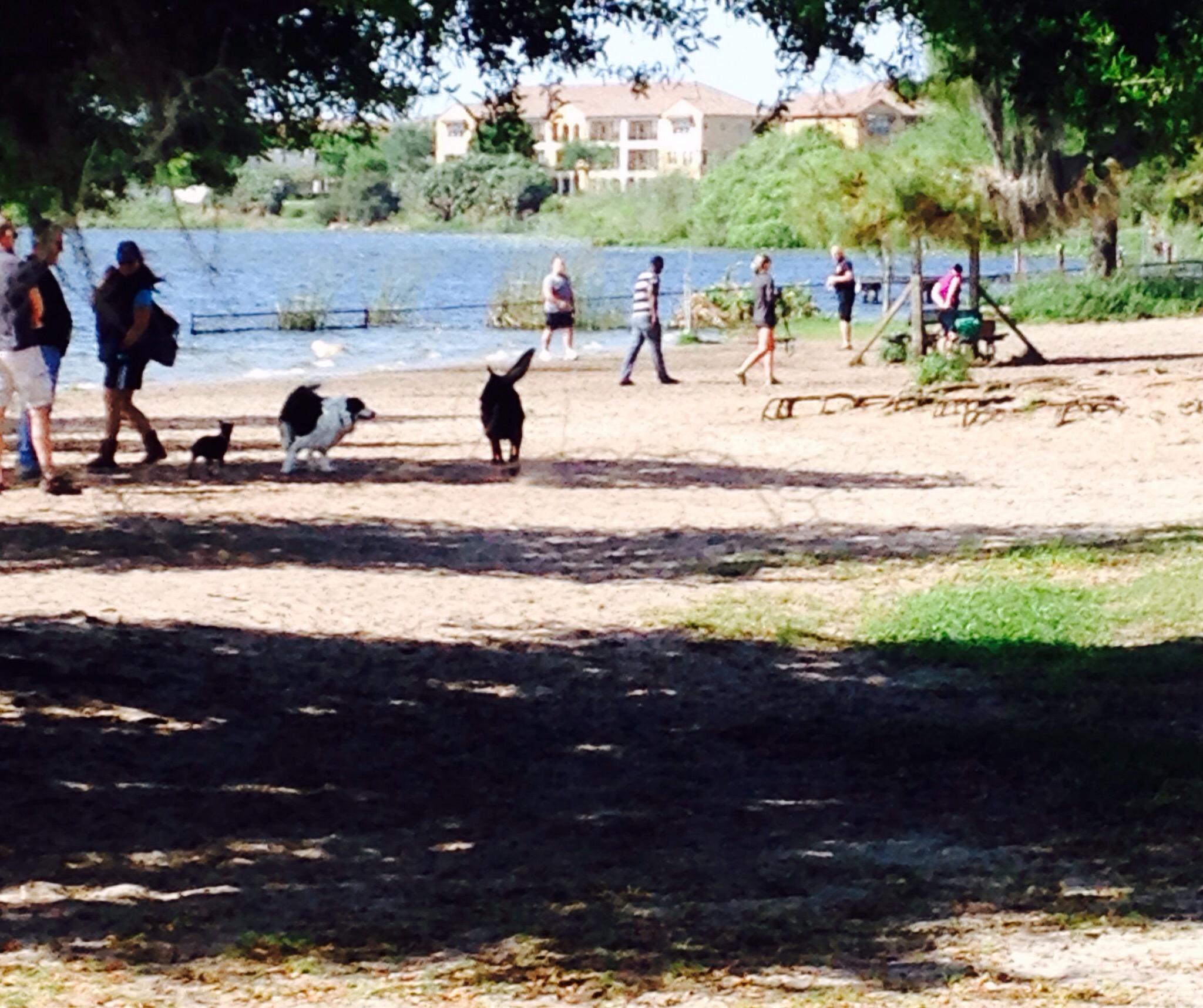 Lake Baldwin Park