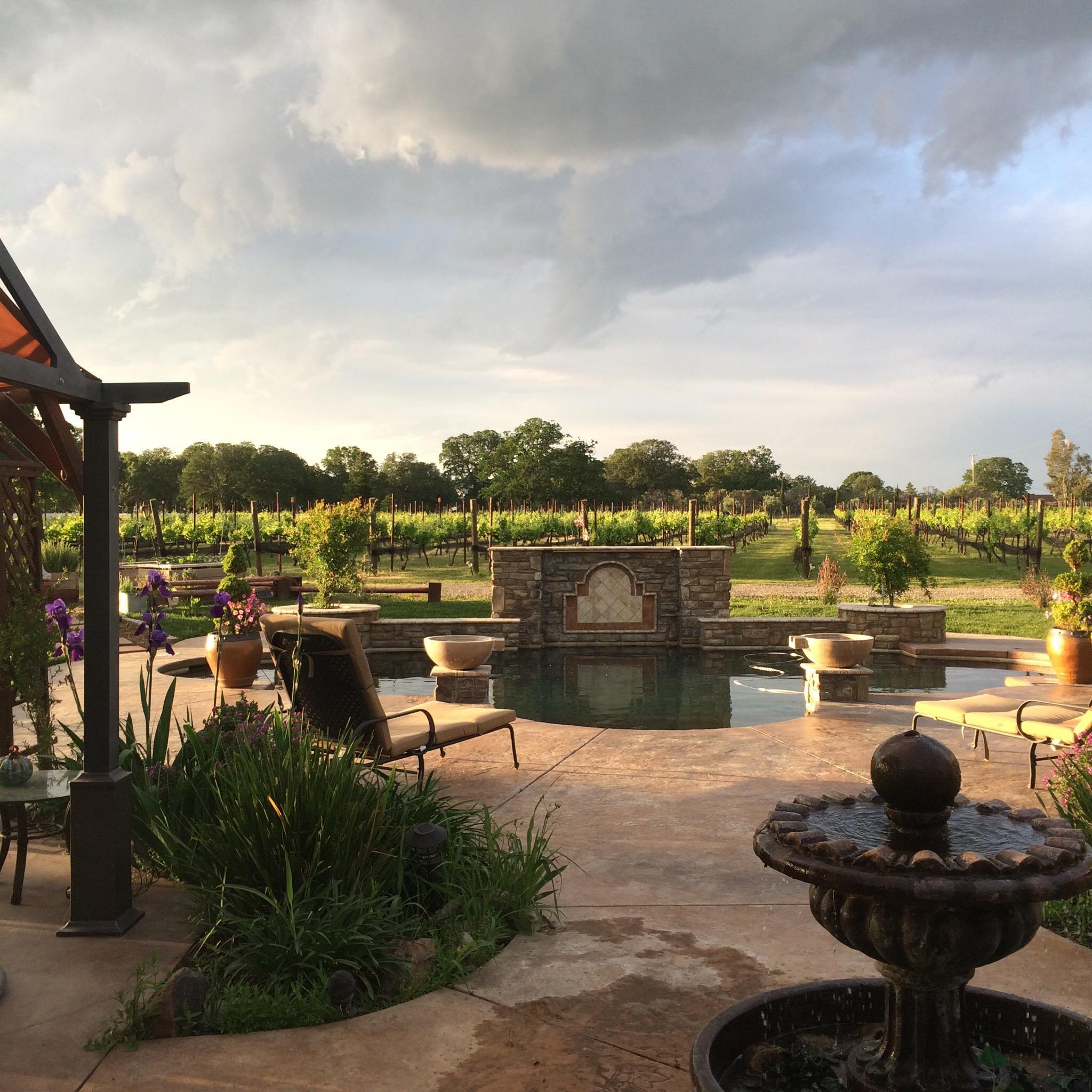 Tuscan Ridge Estate Winery