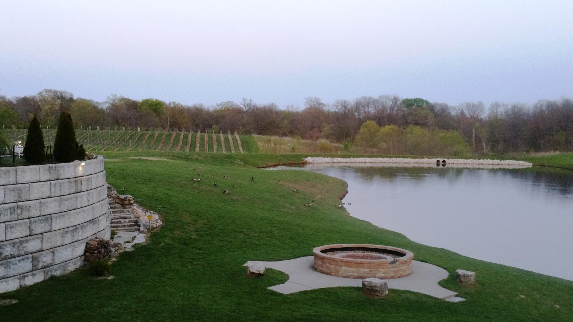 Bella Vista Winery