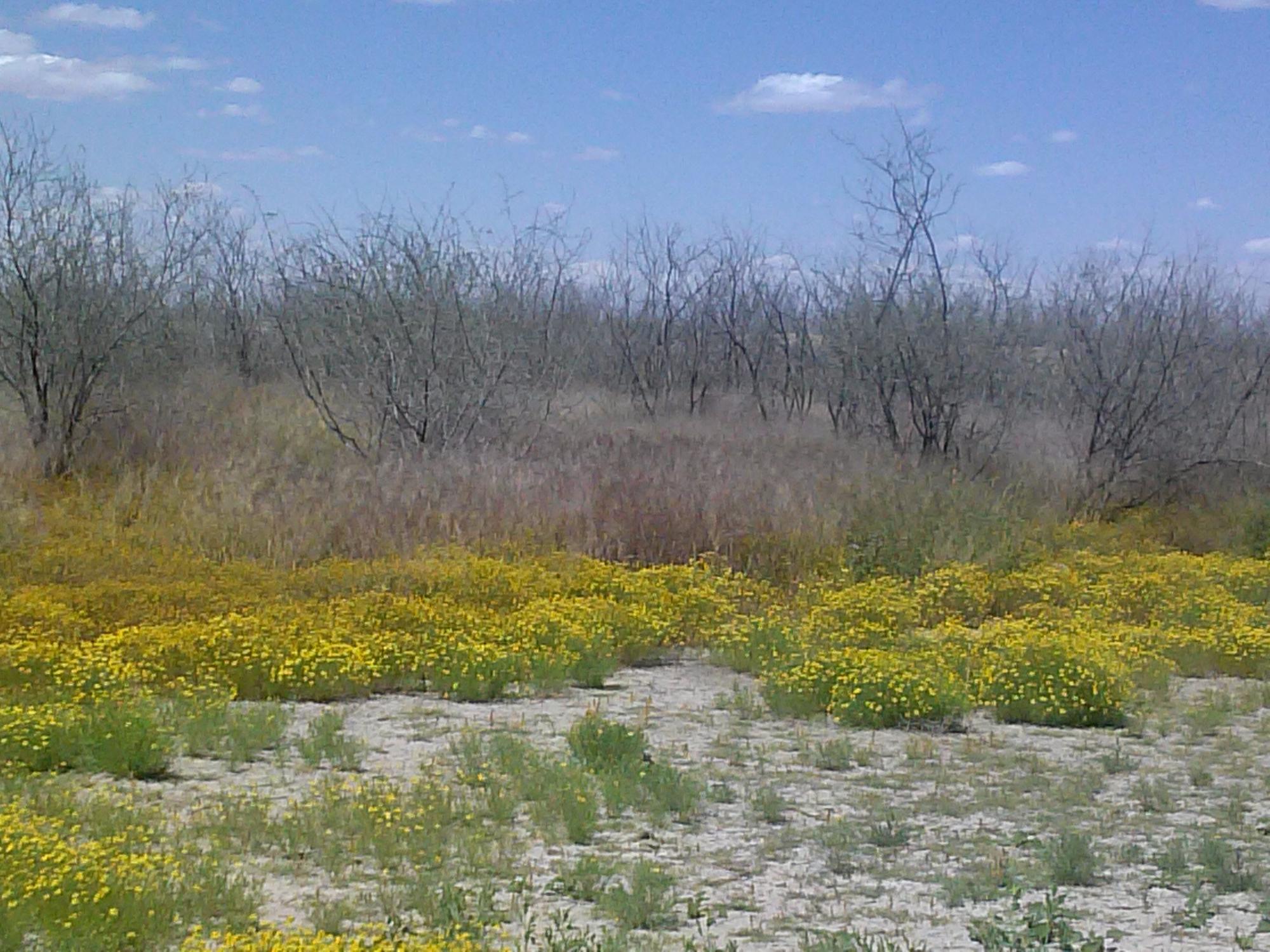 Rio Bosque Wetlands Park