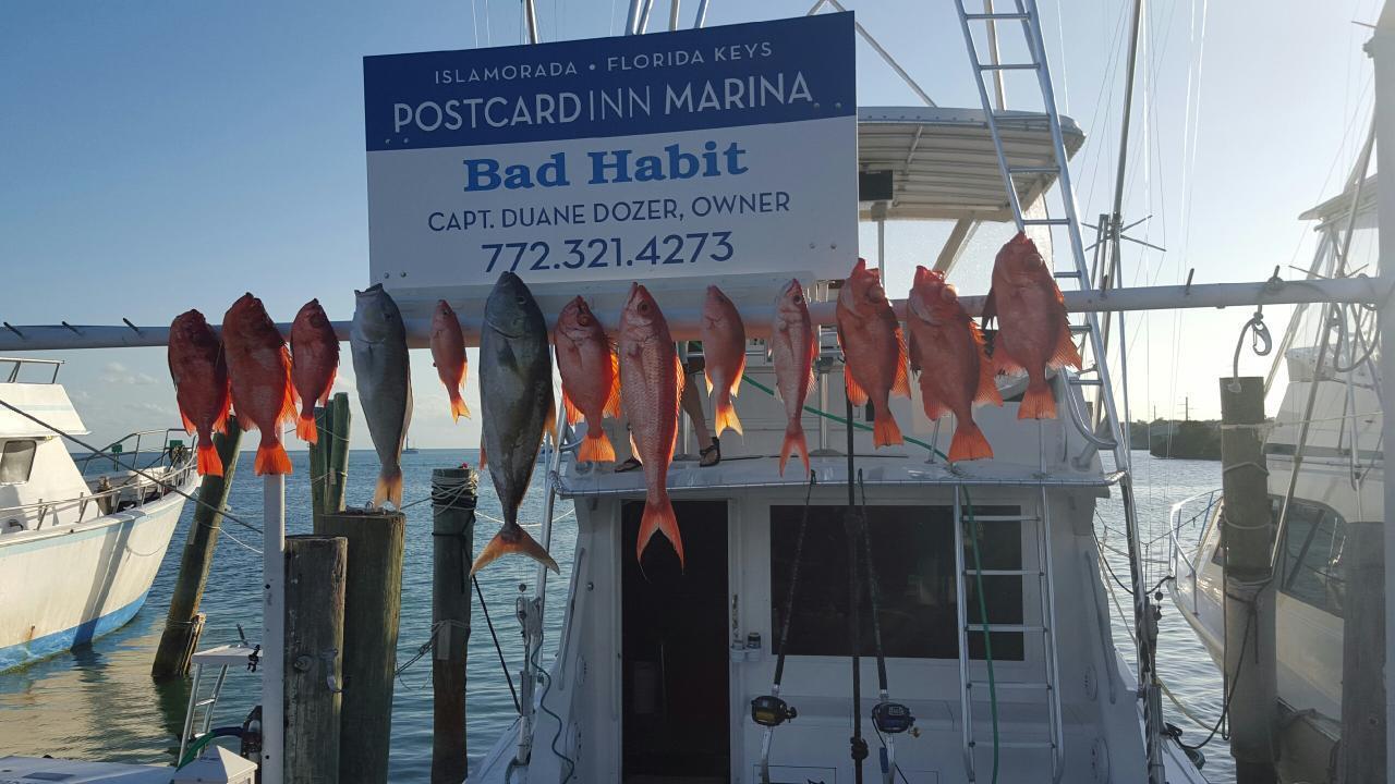 Tattered Flag Sport Fishing