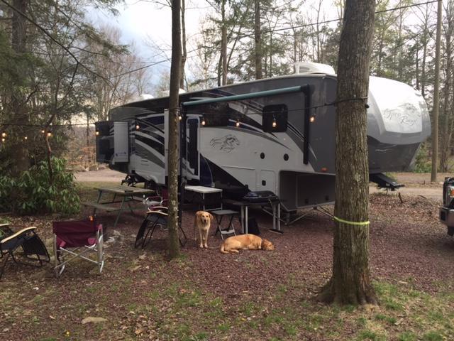 Lehigh Gorge Campground