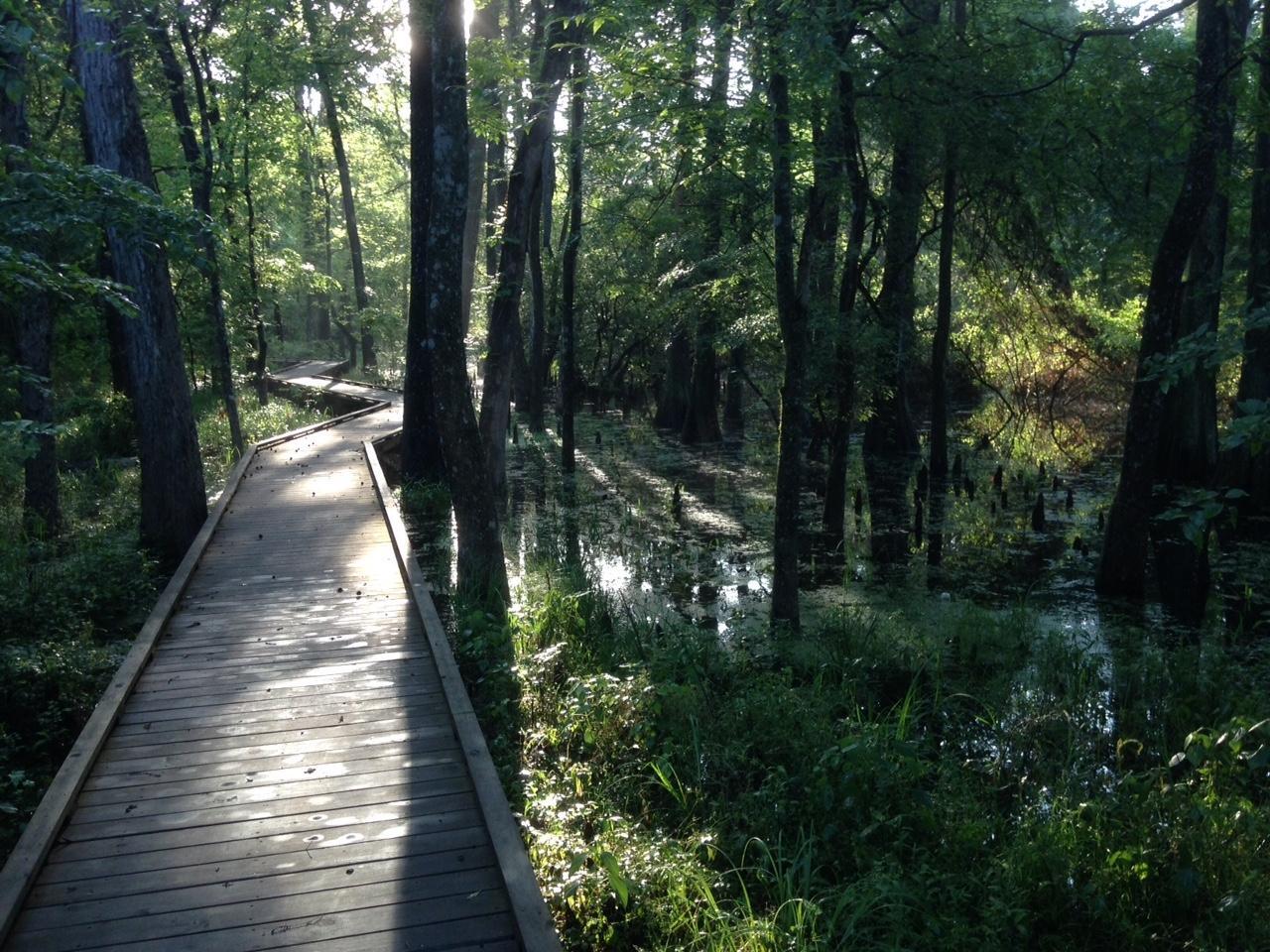 Jesse H Jones Park & Nature Center