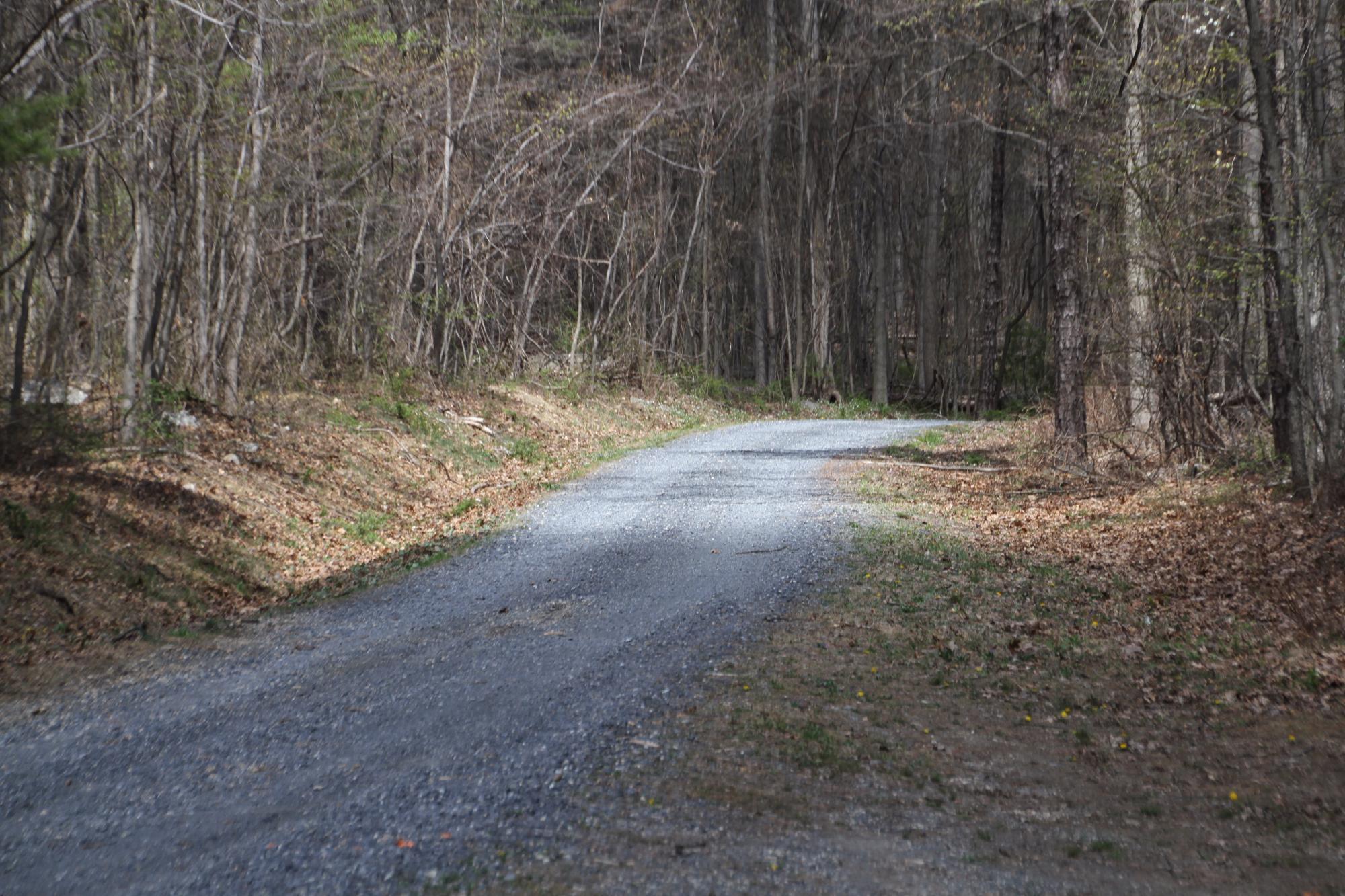 Michaux State Forest