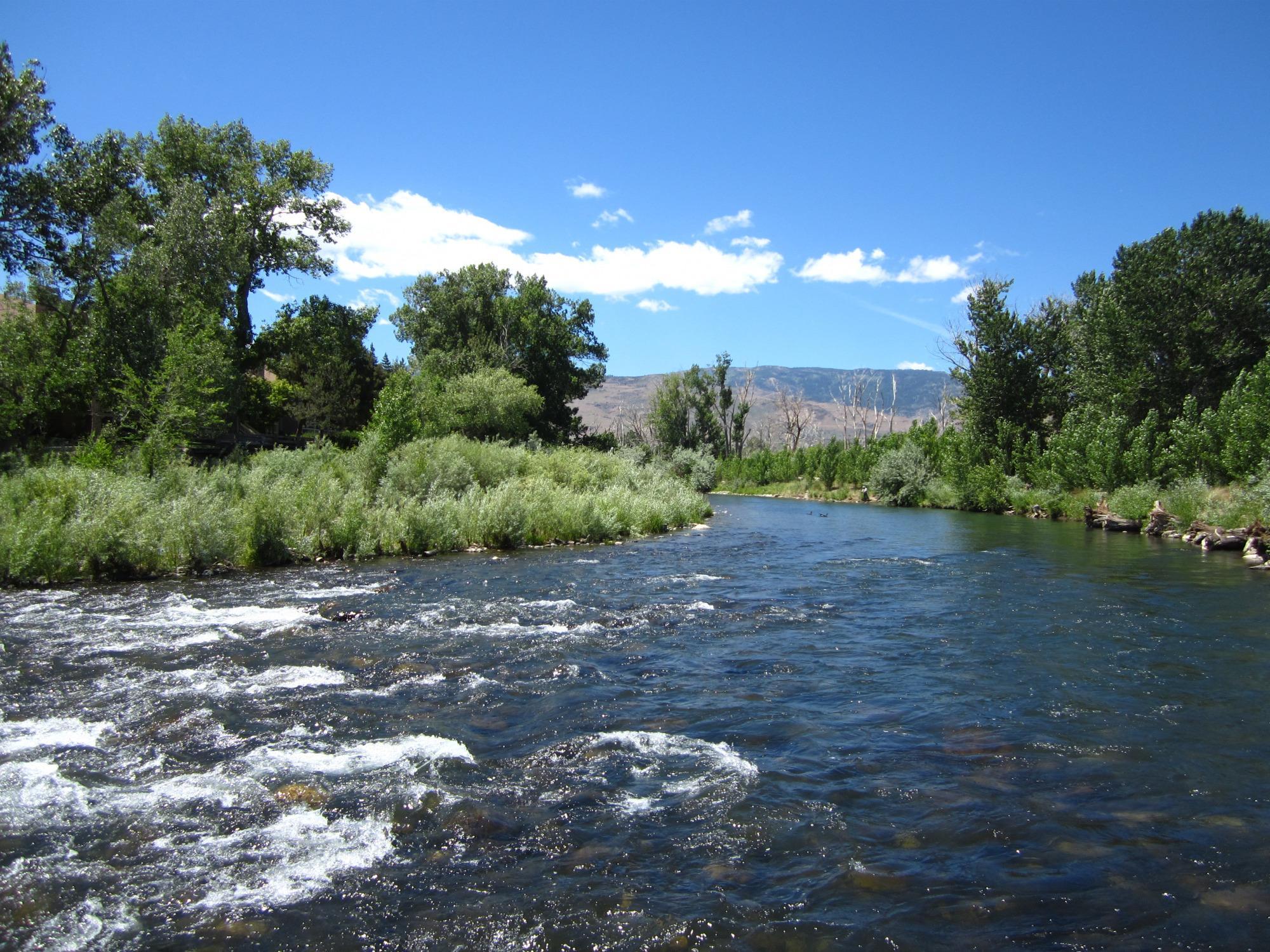 Oxbow Nature Study Area