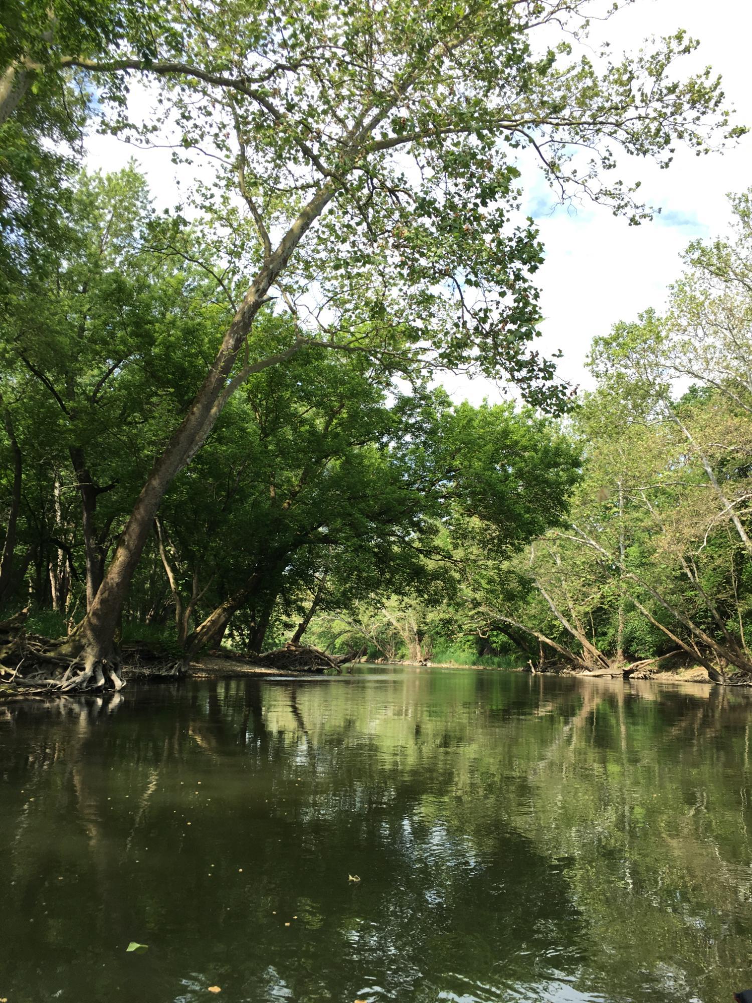 White River Canoe Company