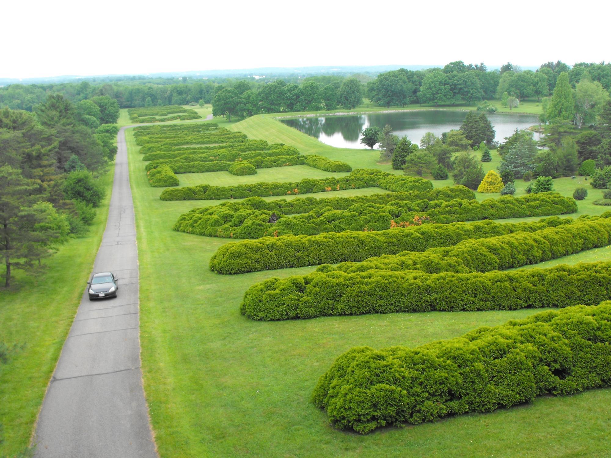 Dawes Arboretum