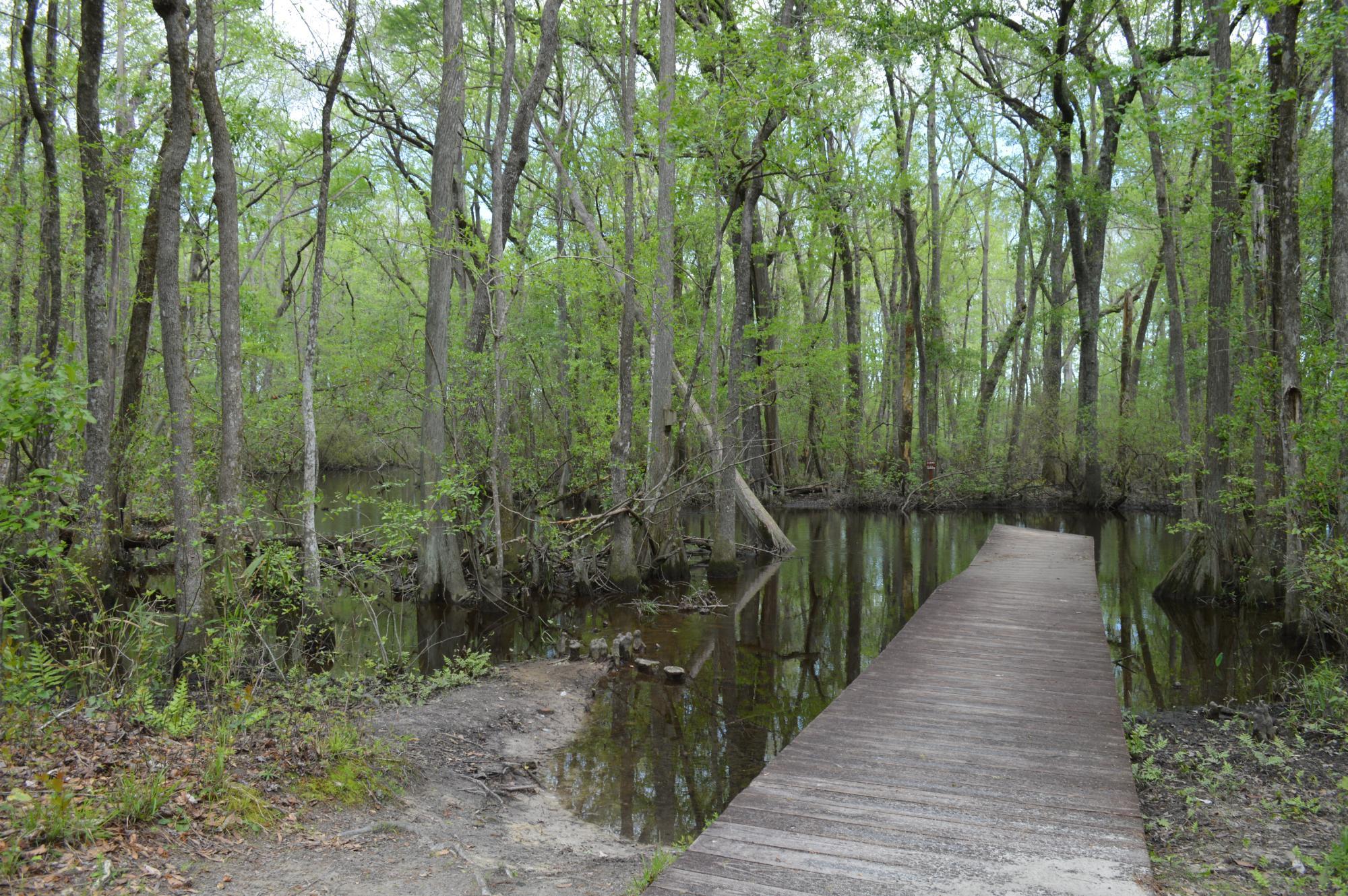 Aiken State Park