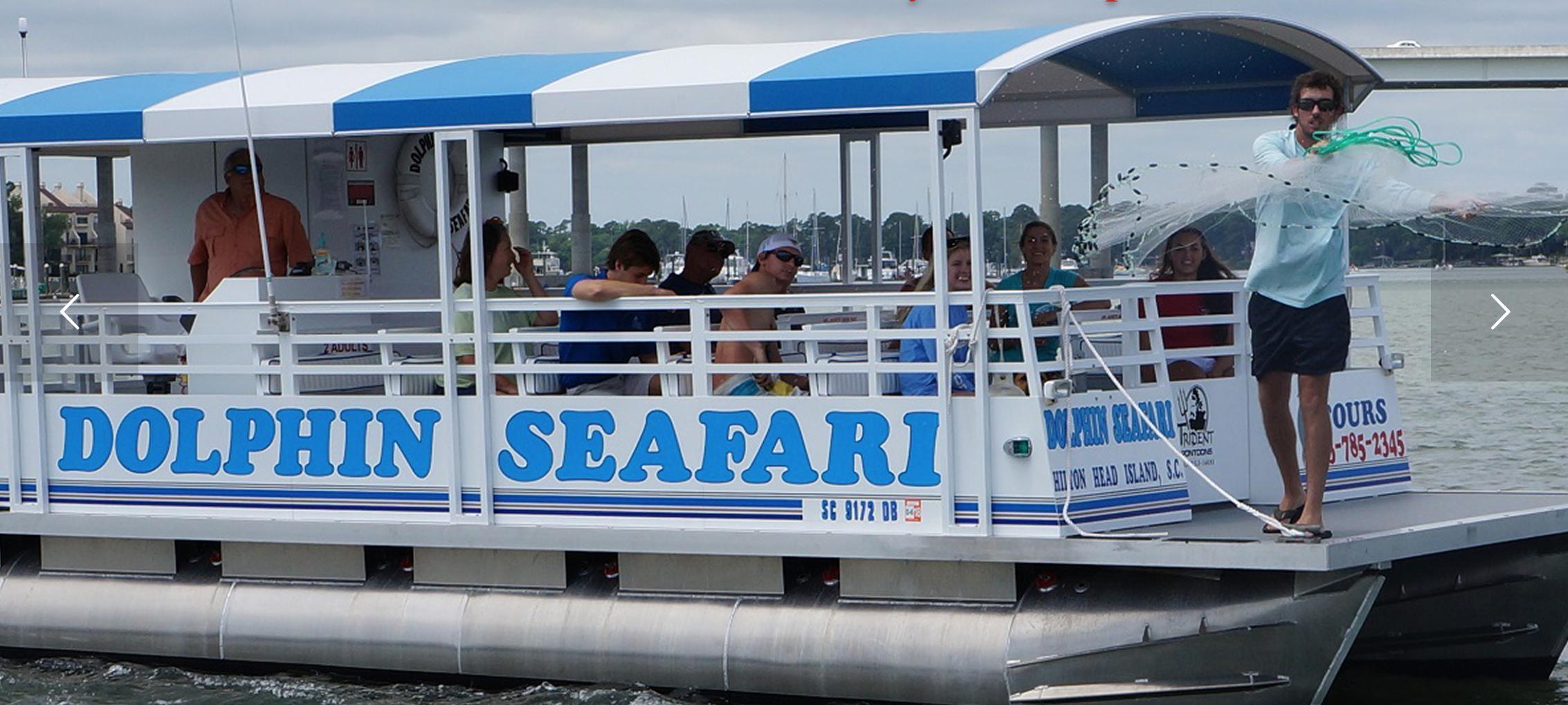 Dolphin Seafari