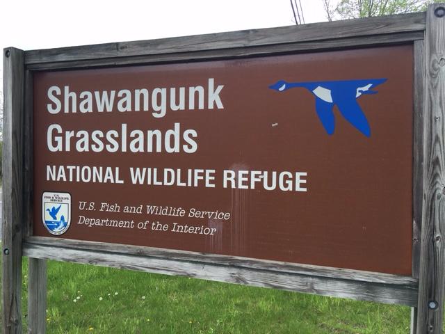 Shawangunk Grasslands National Wildlife Refuge