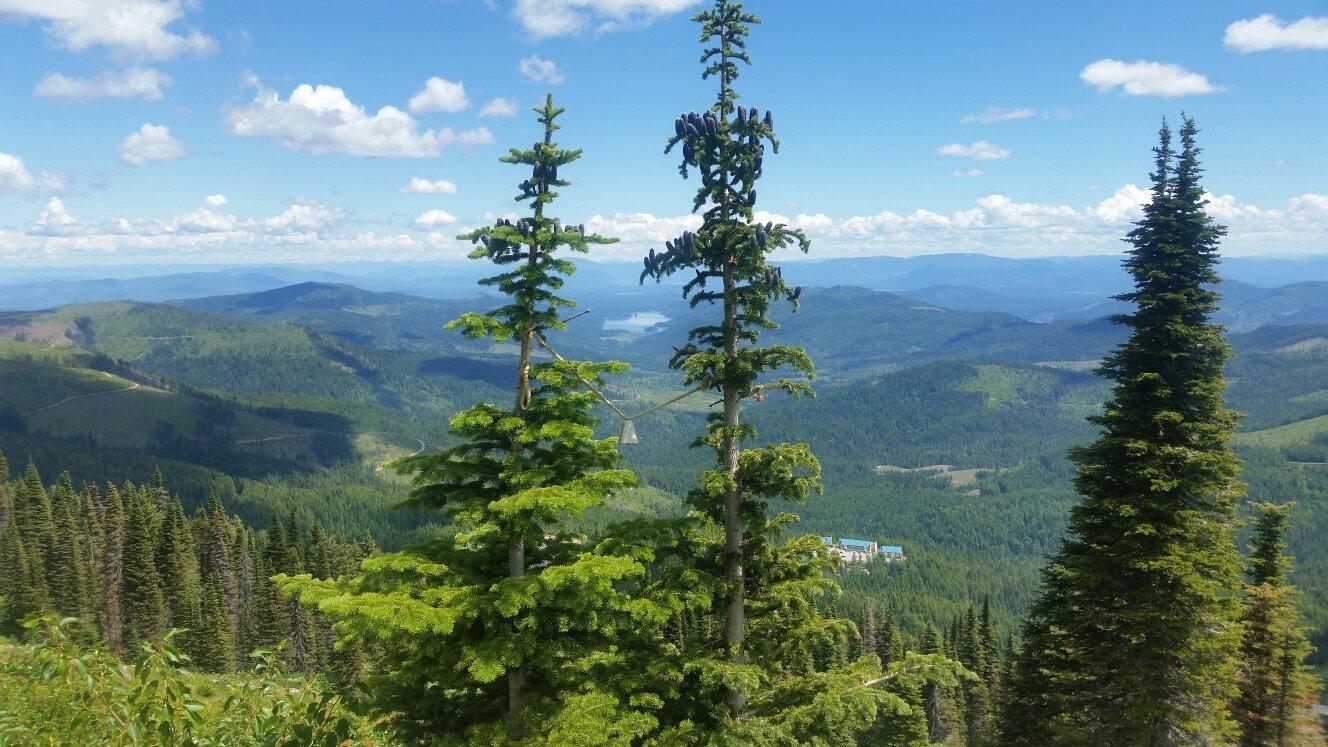 Mount Spokane