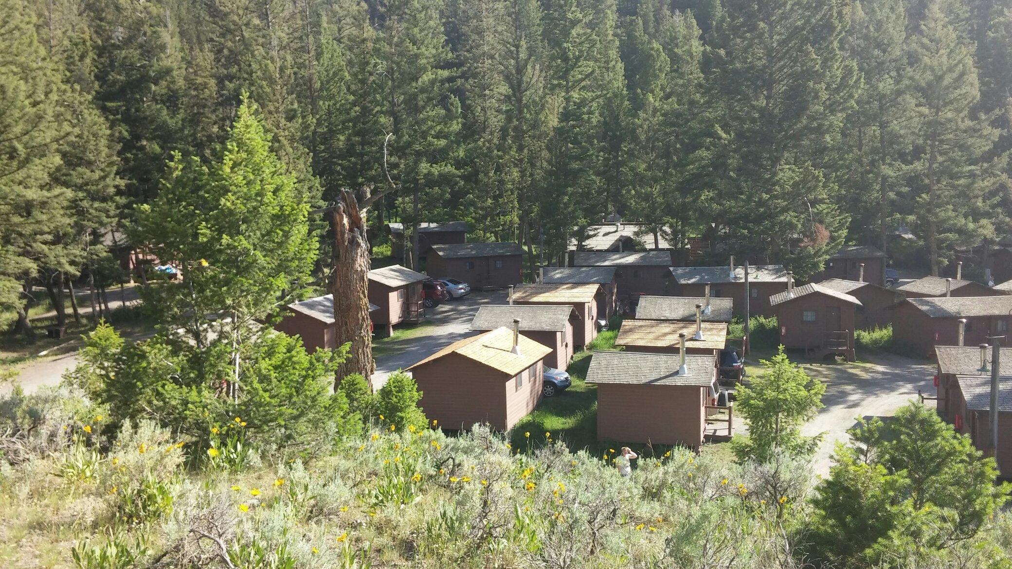 Roosevelt Lodge Cabins