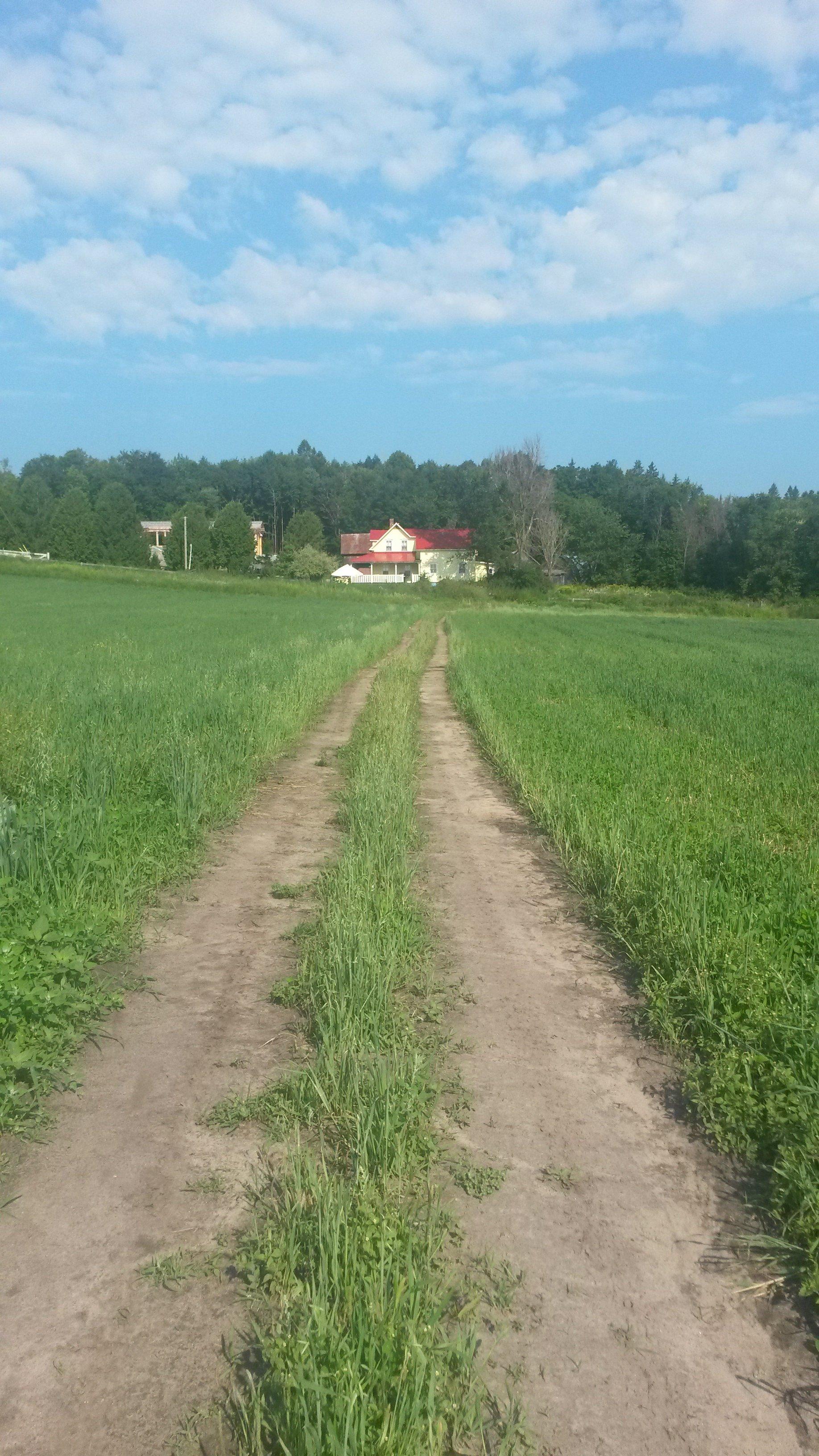 Juniper Farm