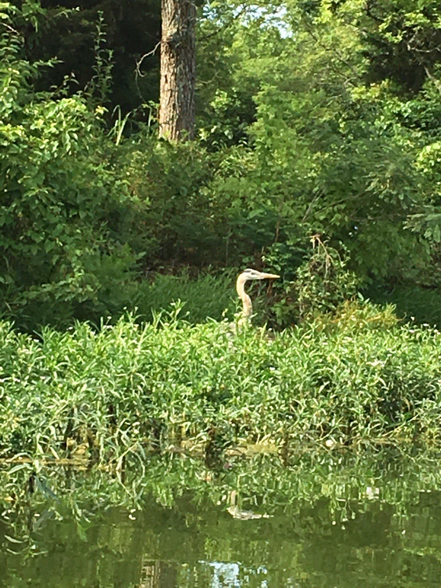 Rockland Recreation Area