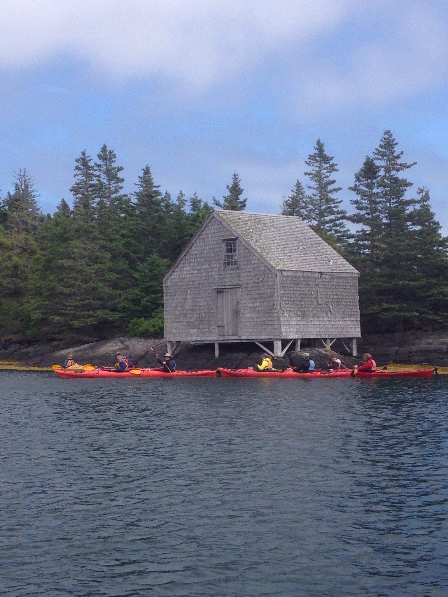 Lunenburg Whale Watching Tours