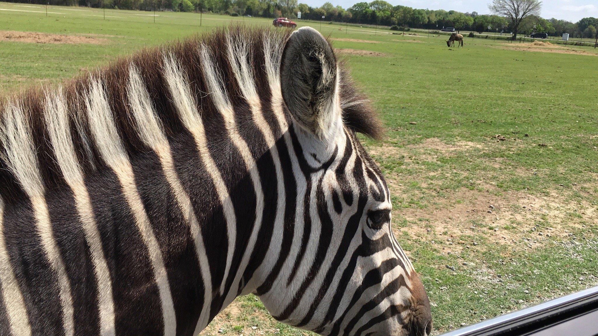 Franklin Drive Thru Safari