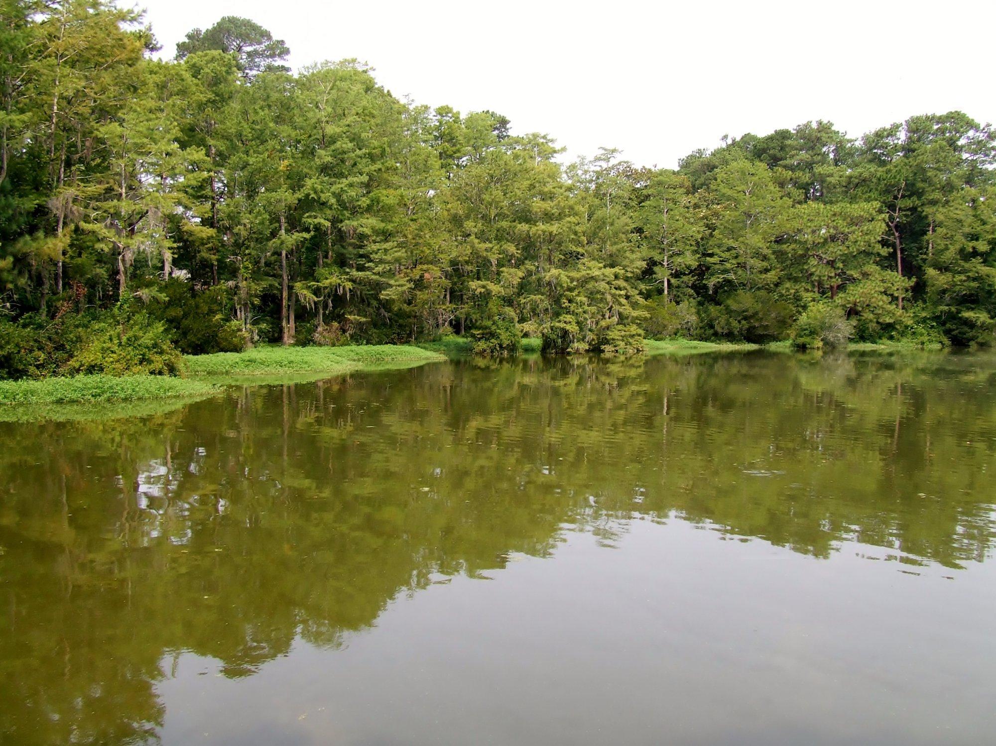 Hugh McRae Park - renamed Long Leaf Park