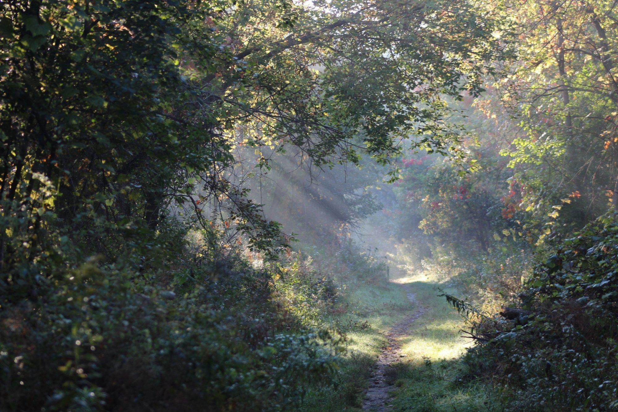 Shiawassee National Wildlife Refuge