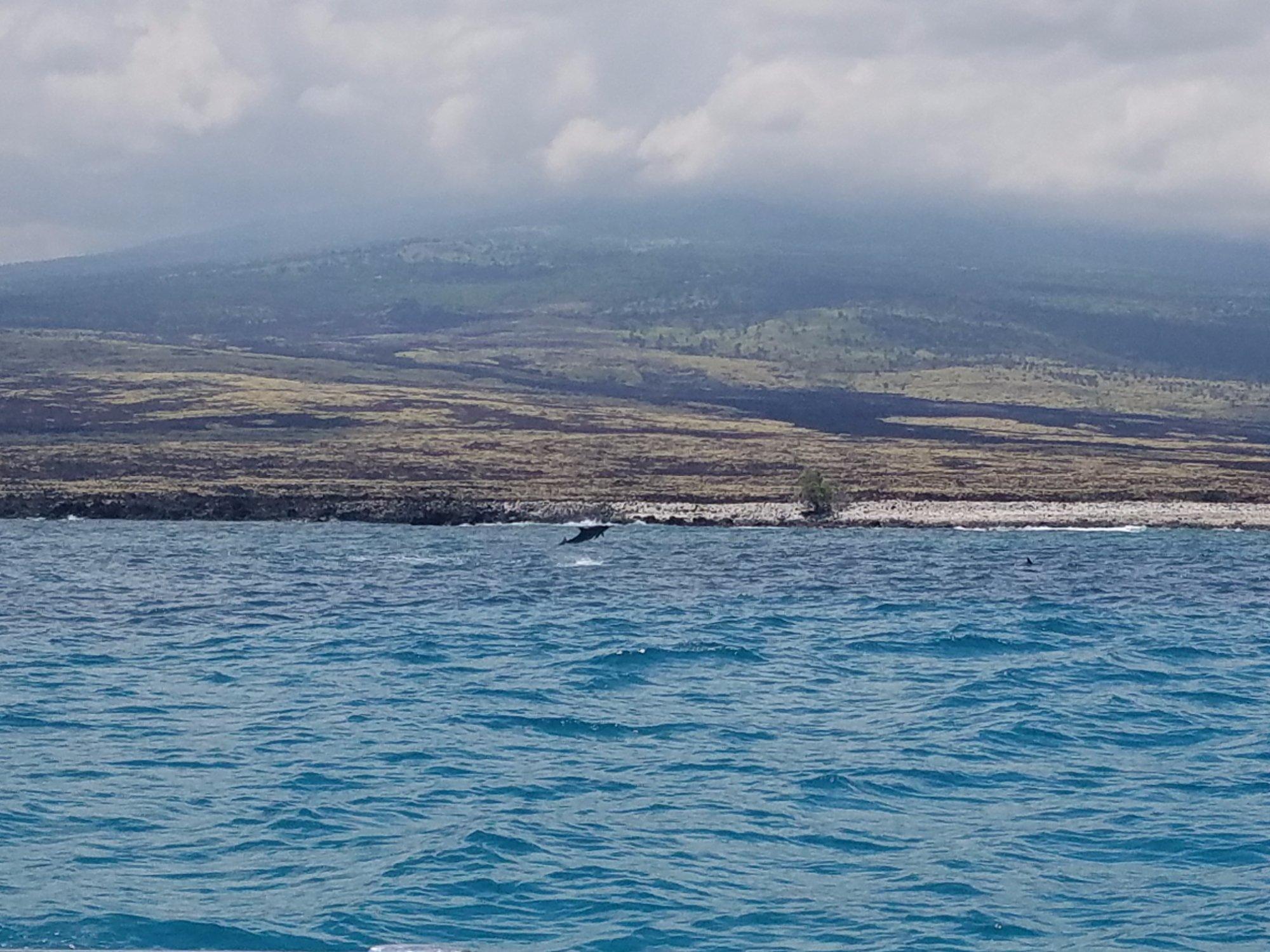 Hawaiian Boating Adventures​