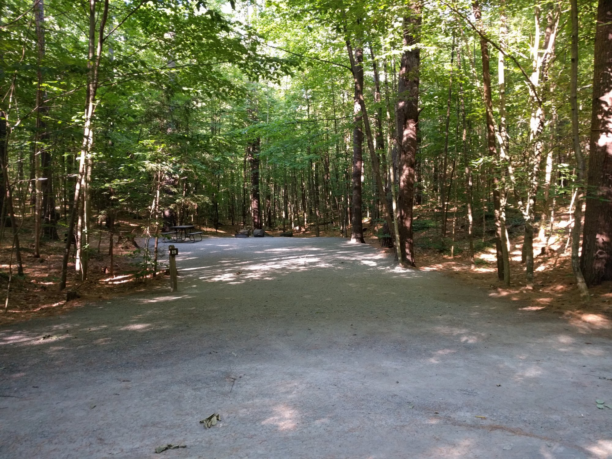 Jamaica State Park Campground