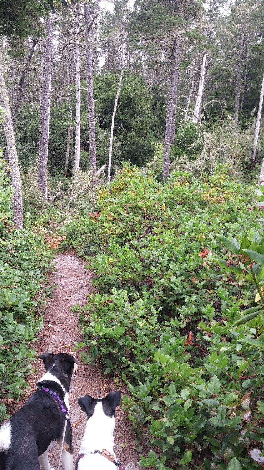 Whalen Island County Park