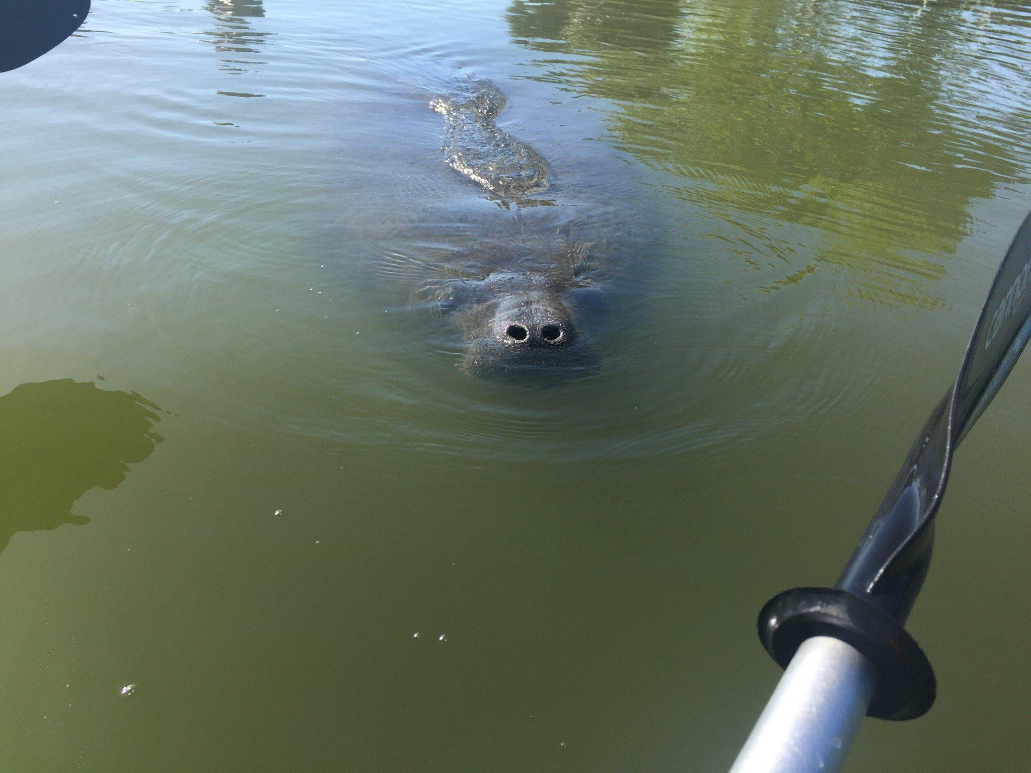 Adventure Kayak of Cocoa Beach