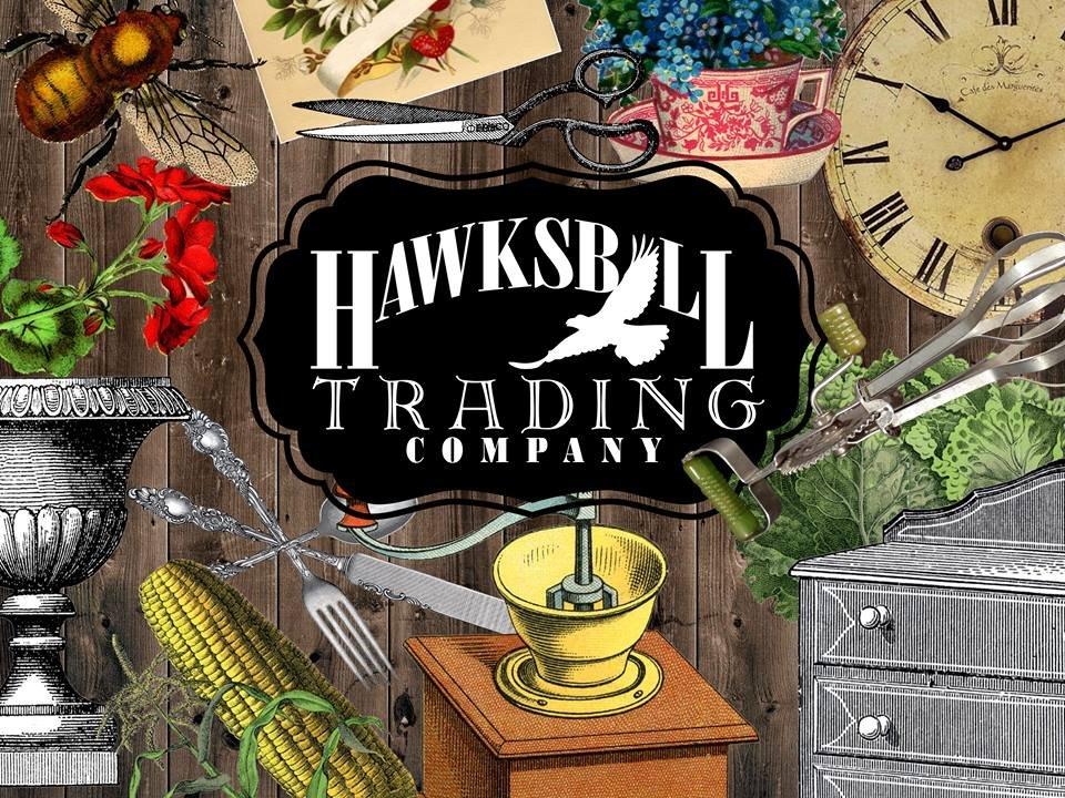 Hawksbill Trading Company