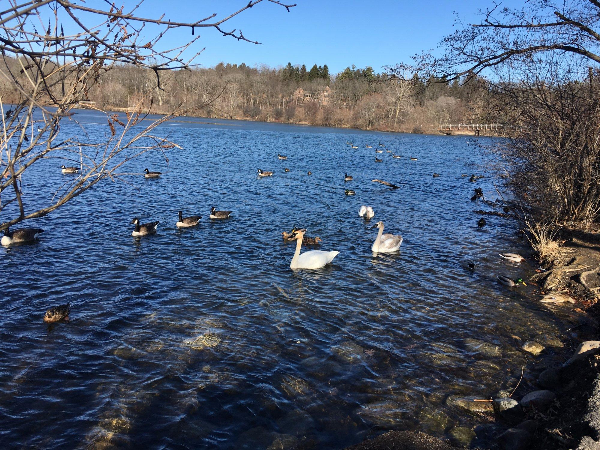 Gallup Park