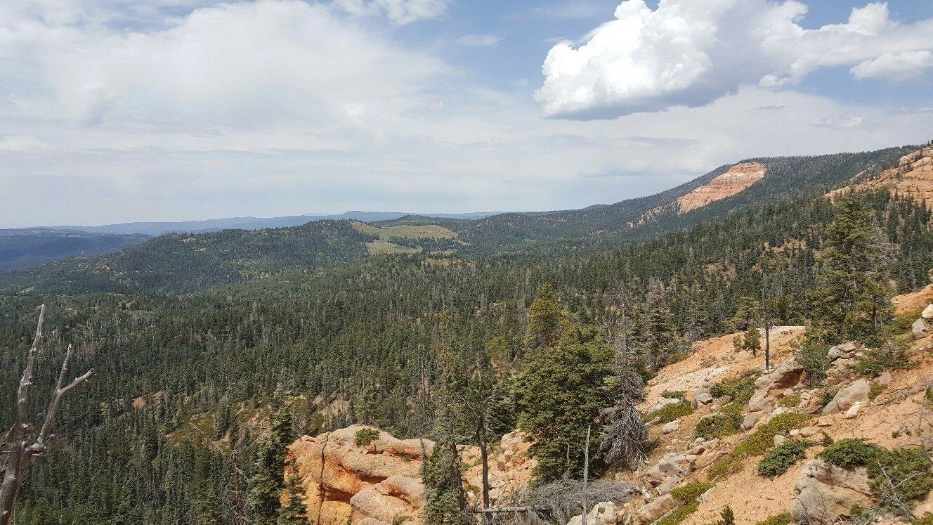 Cascade Falls Trail