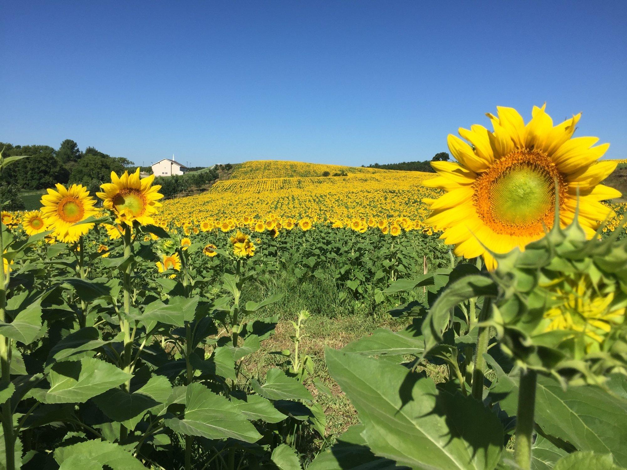 Pope Farm Conservancy - North