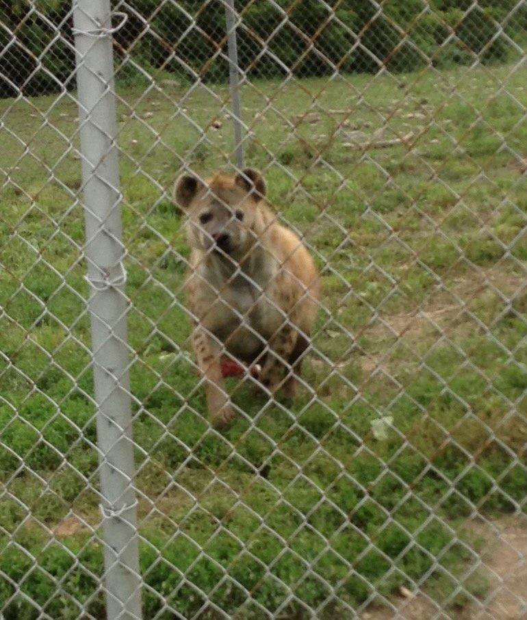 Space Farms Zoo & Museum