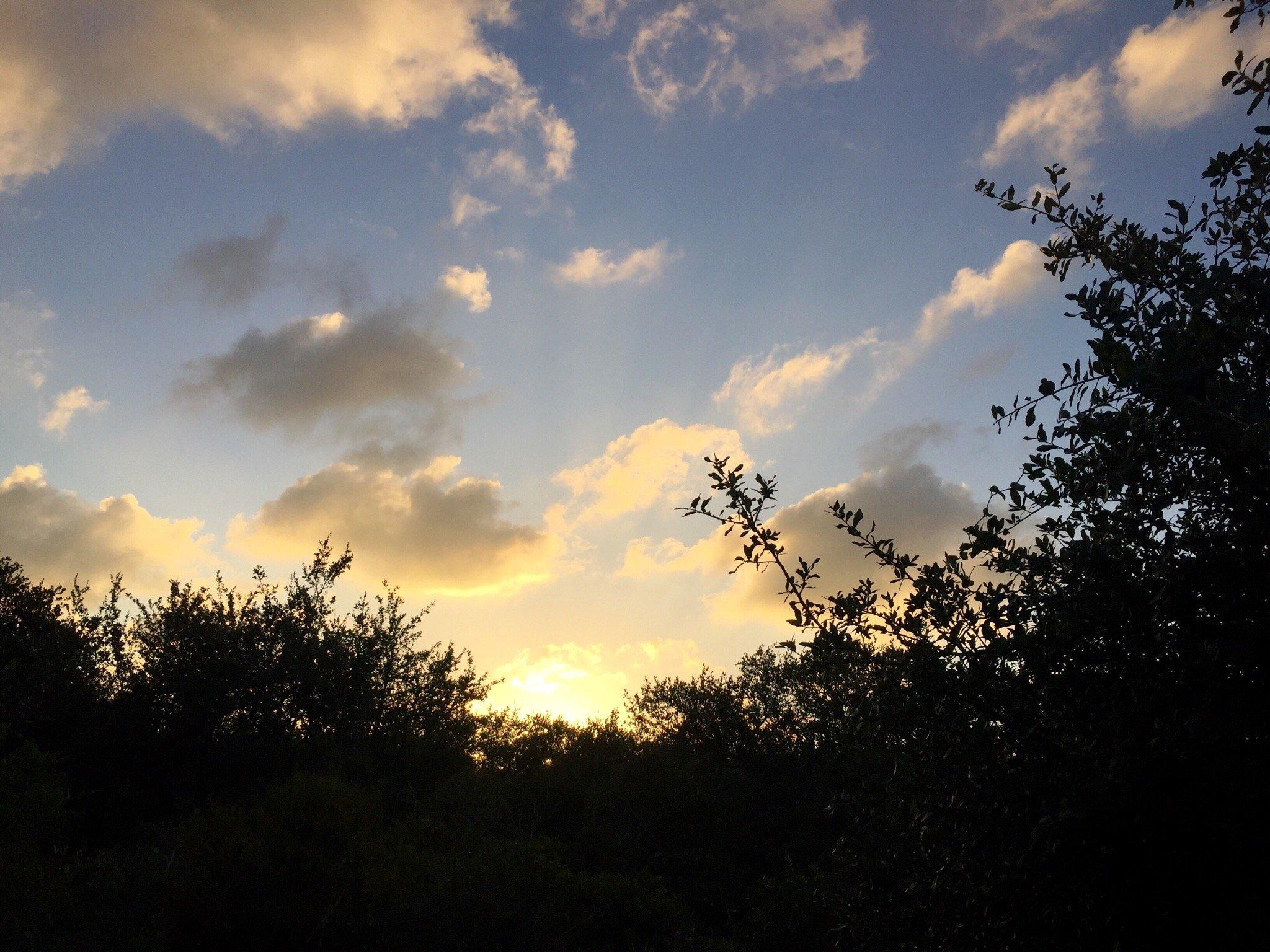 Tule Creek Hike & Bike Trail