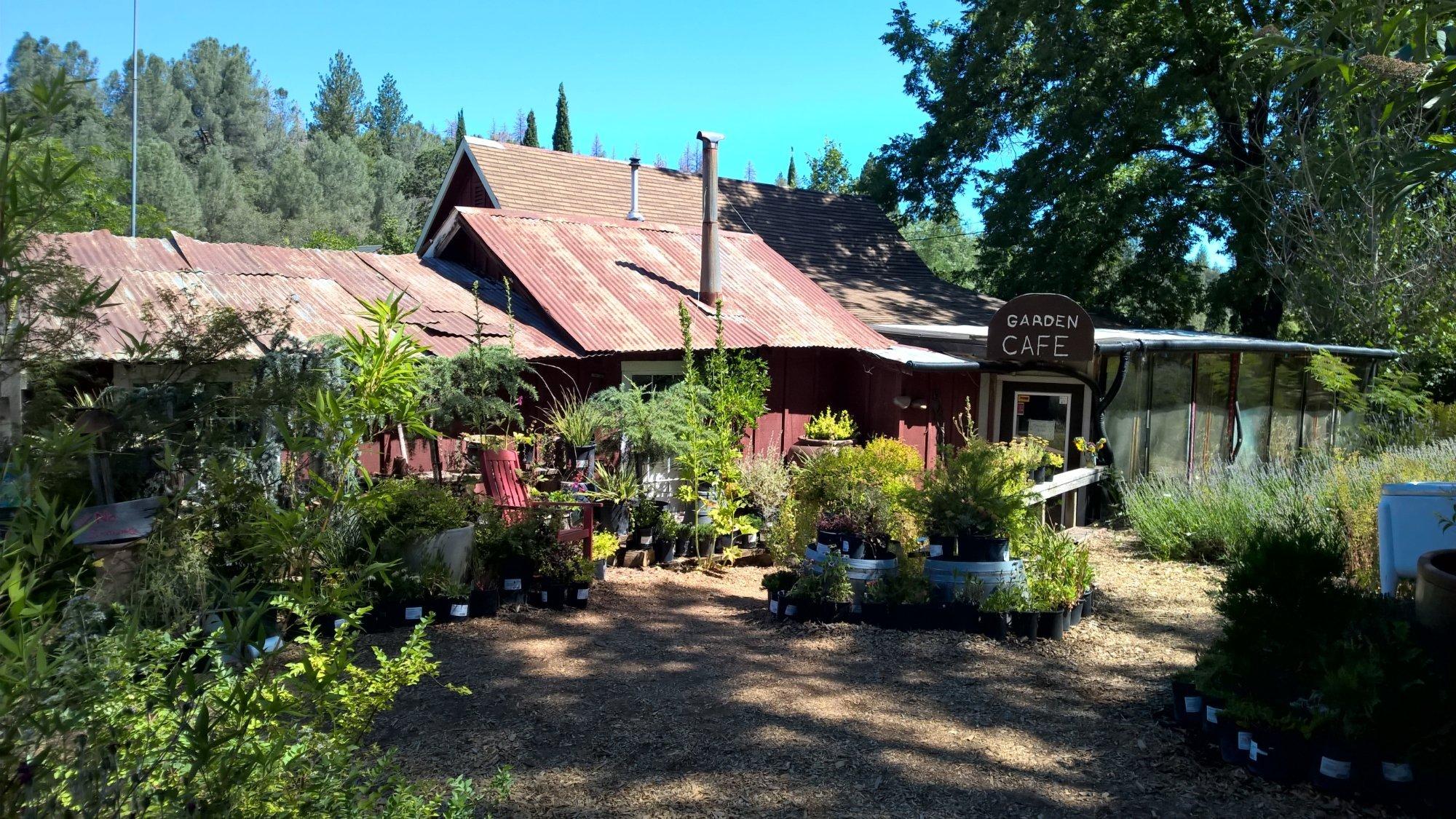 Mountain Sage Cafe