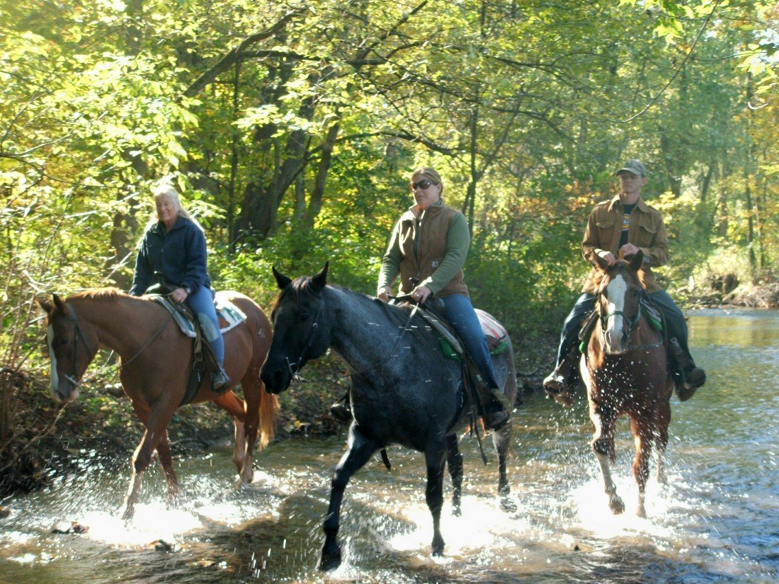 Sheeder Mill Farm