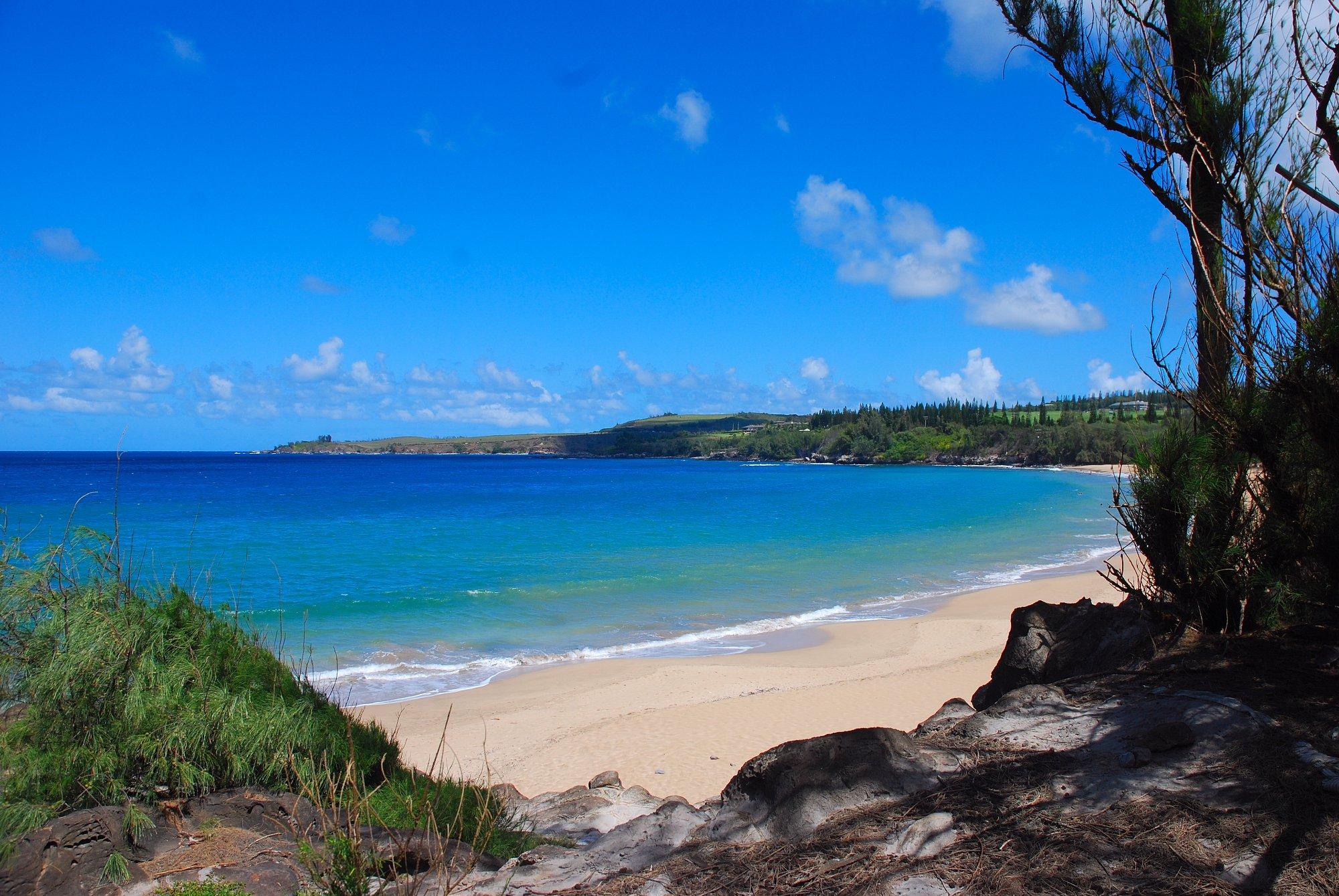 D.T. Fleming Beach Park