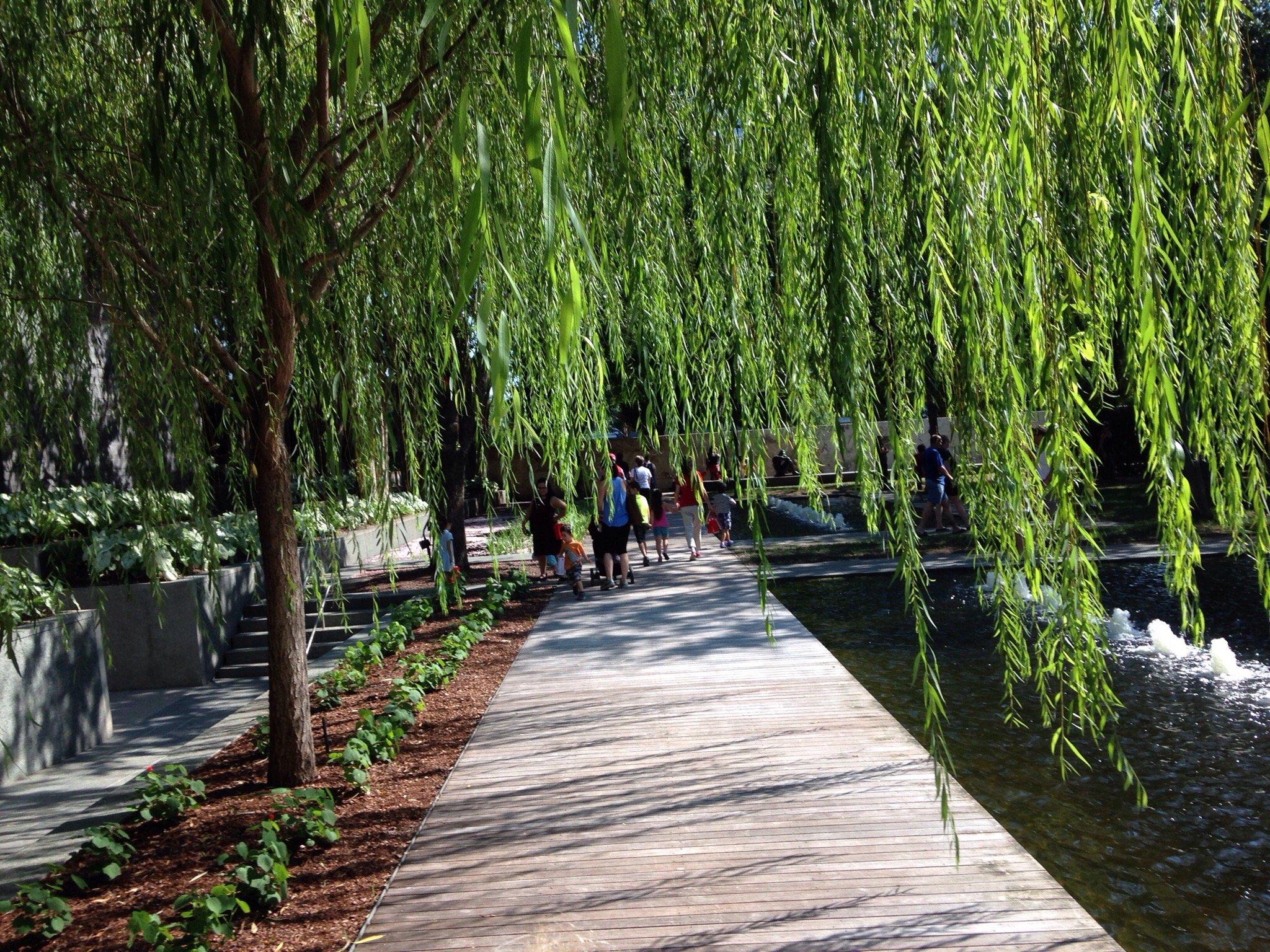 Nasher Sculpture Center