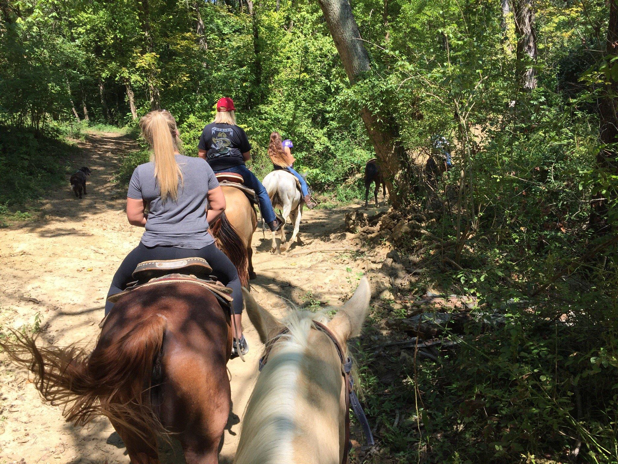 Muddy Water Equestrian Park