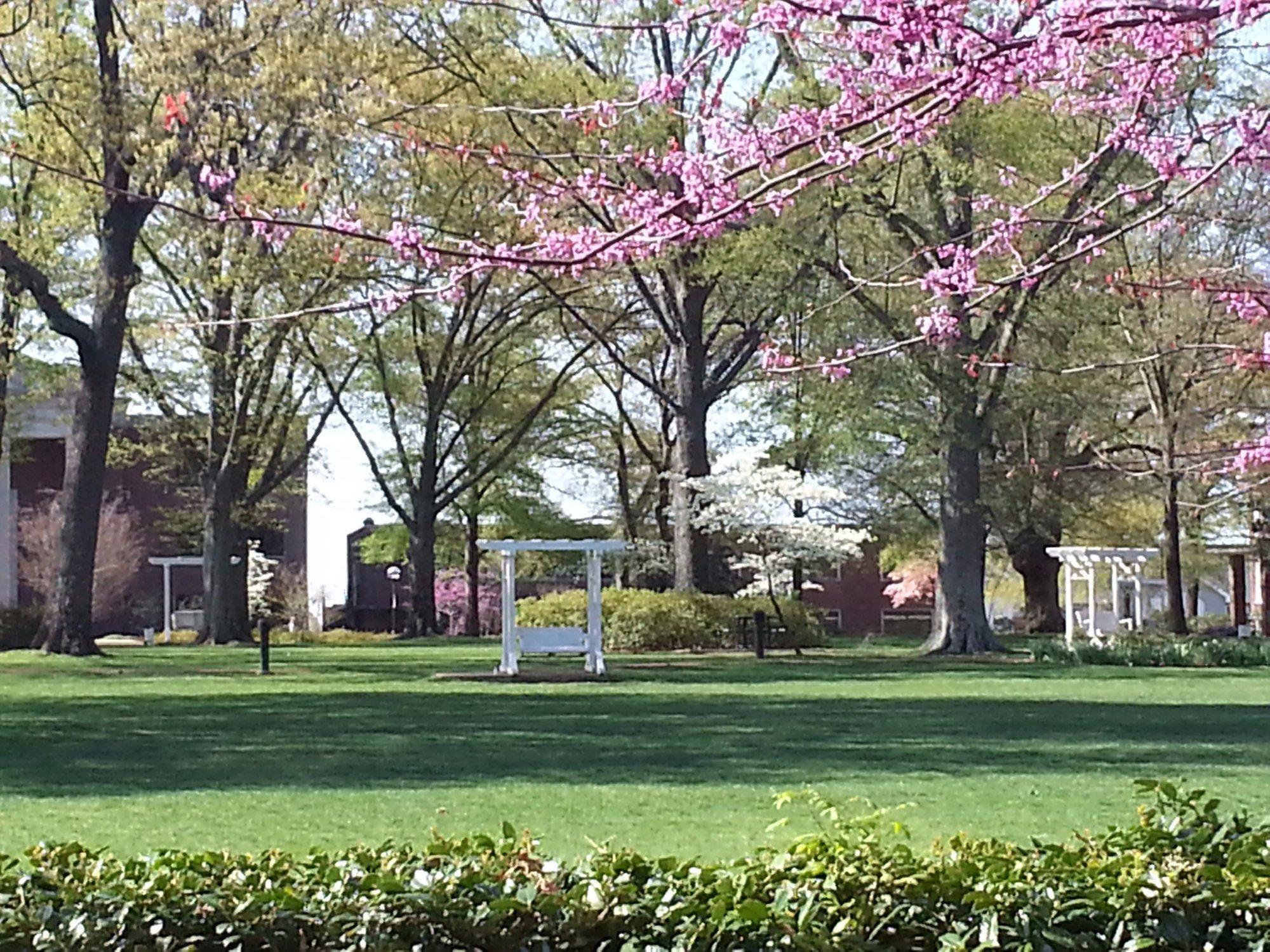 Harding University