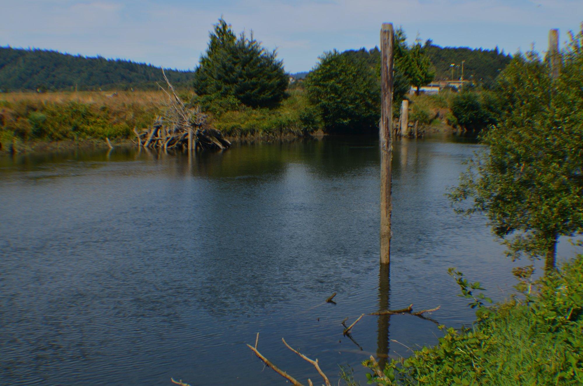 Penny Sturdivant Park