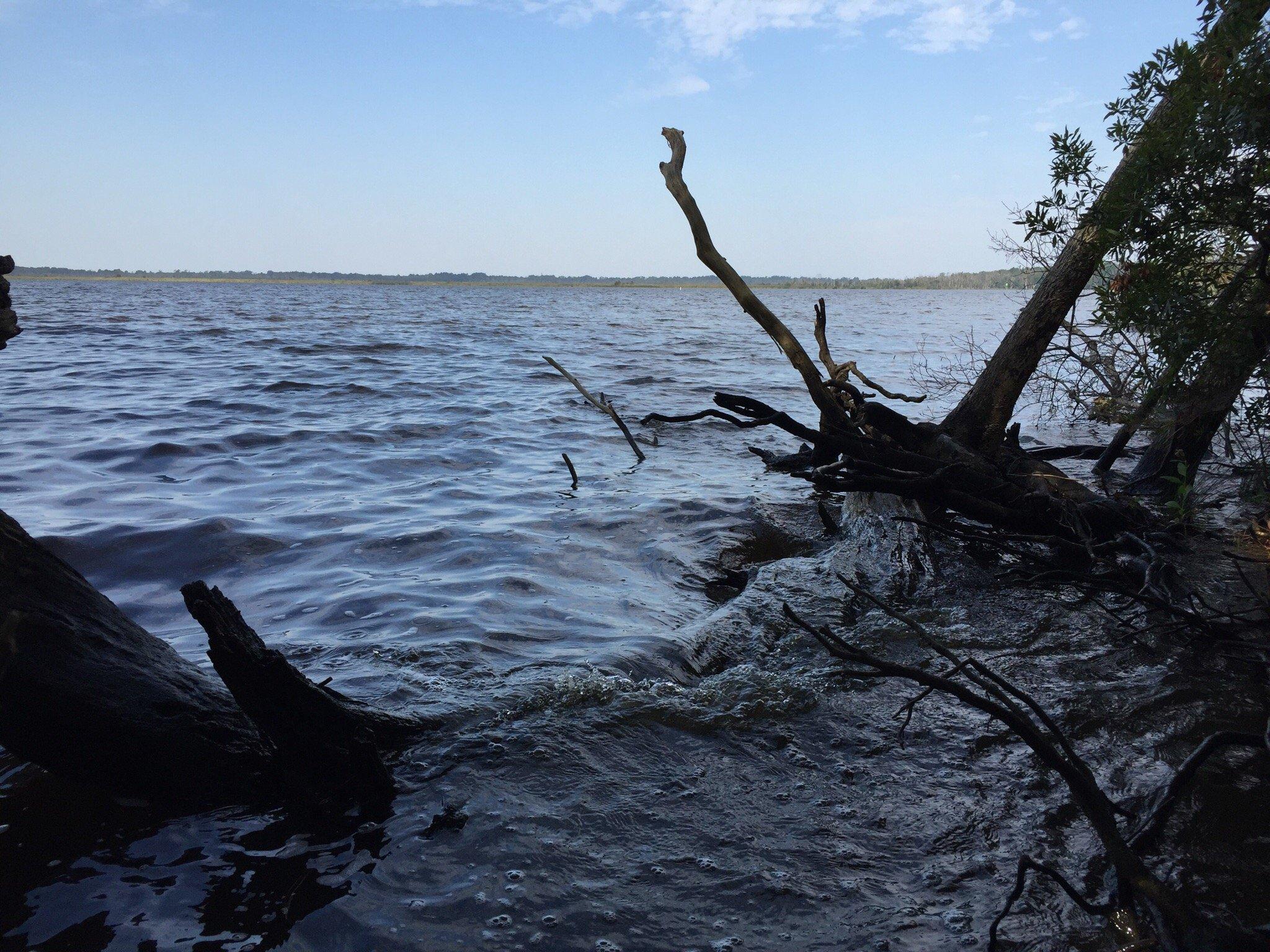 Munden Point Park