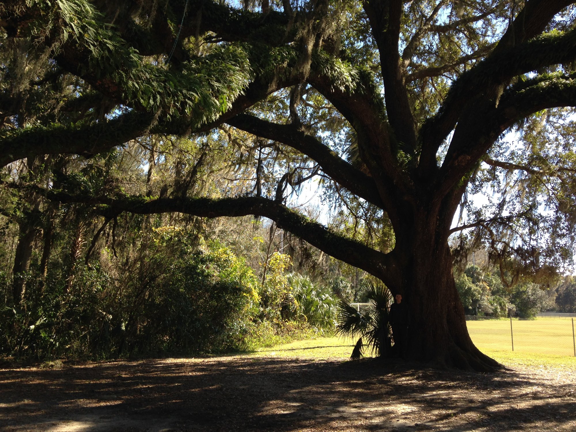 Chuck Lennon Park