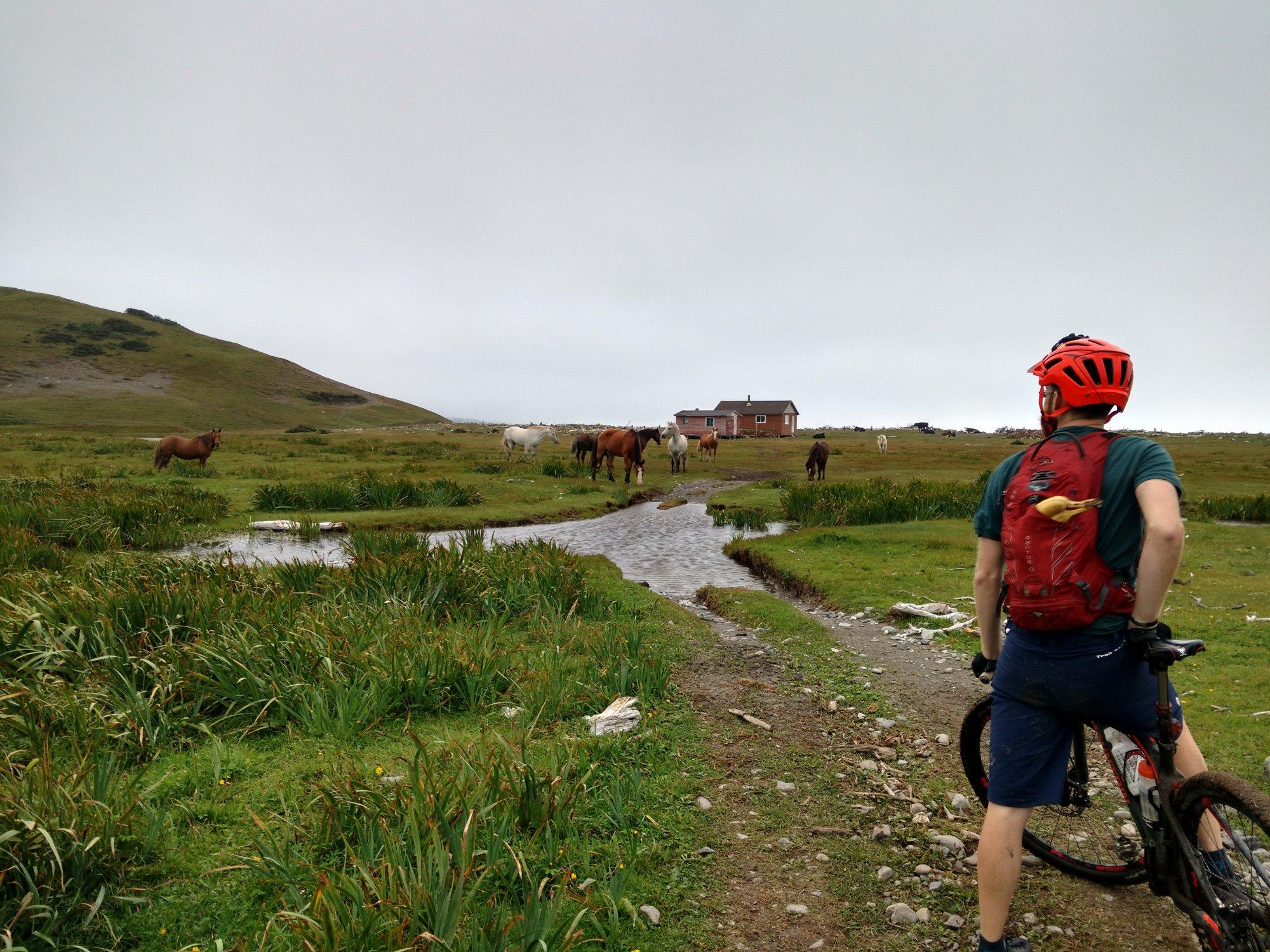 Cycle Solutions - Day Tours