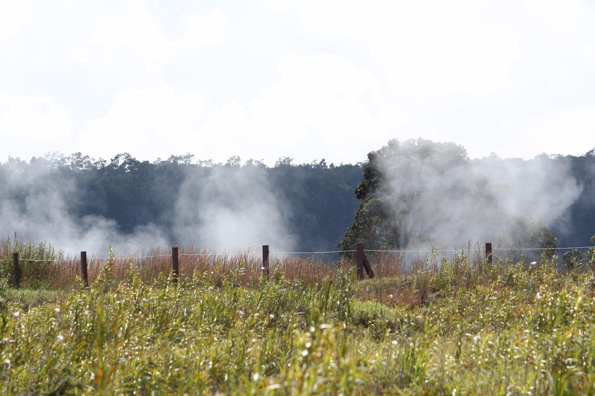 Steam Vents