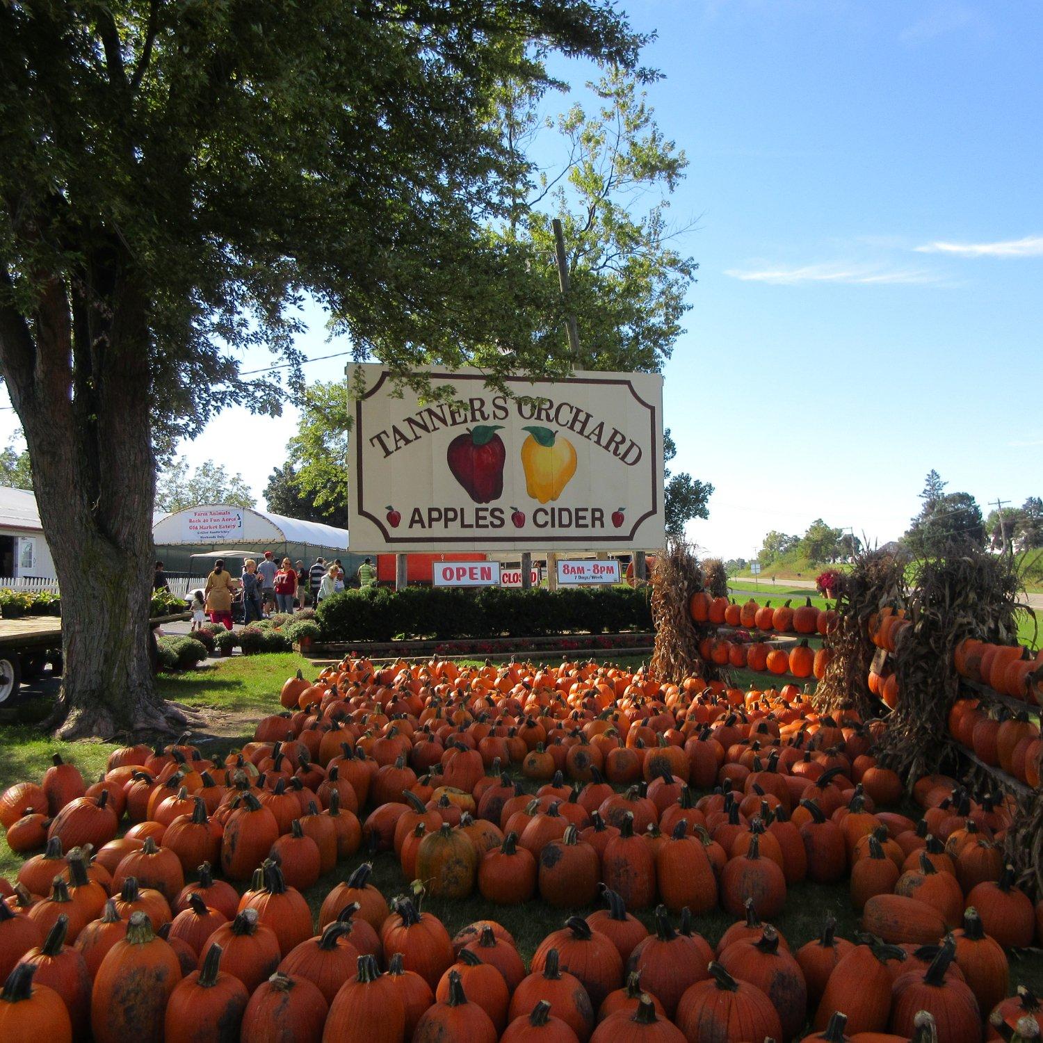 Tanners Orchard